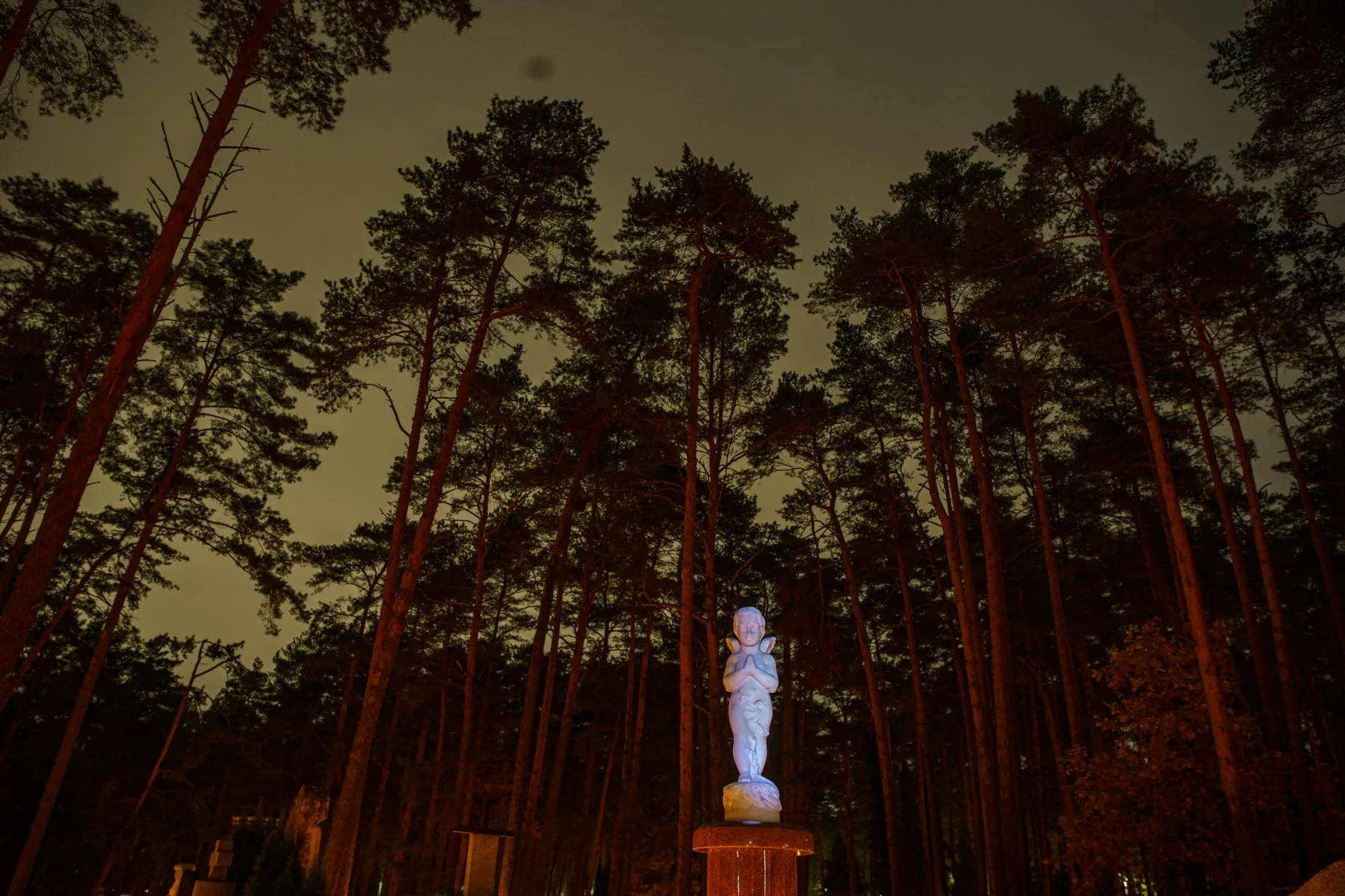 Kauno kapinės lapkričio 1-ąja