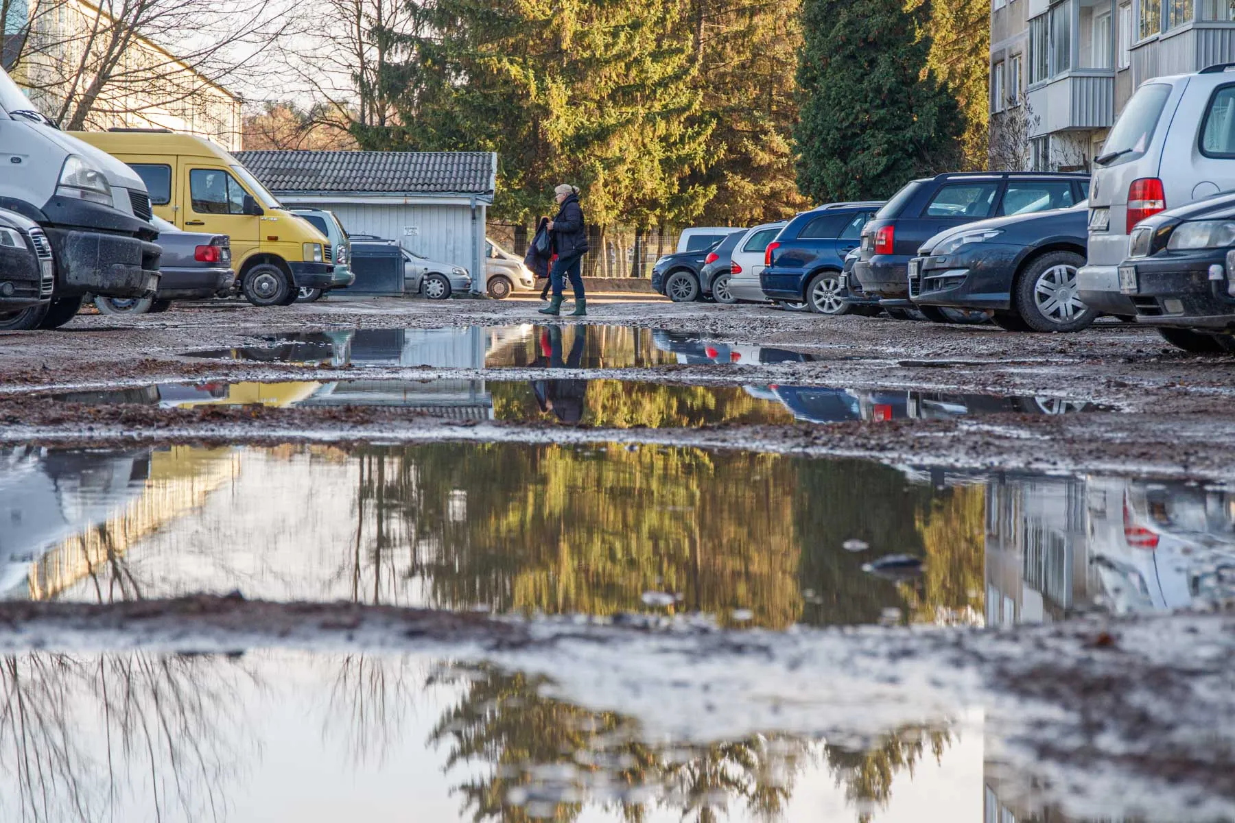 Duobėtas Taikos pr. 47 kiemas