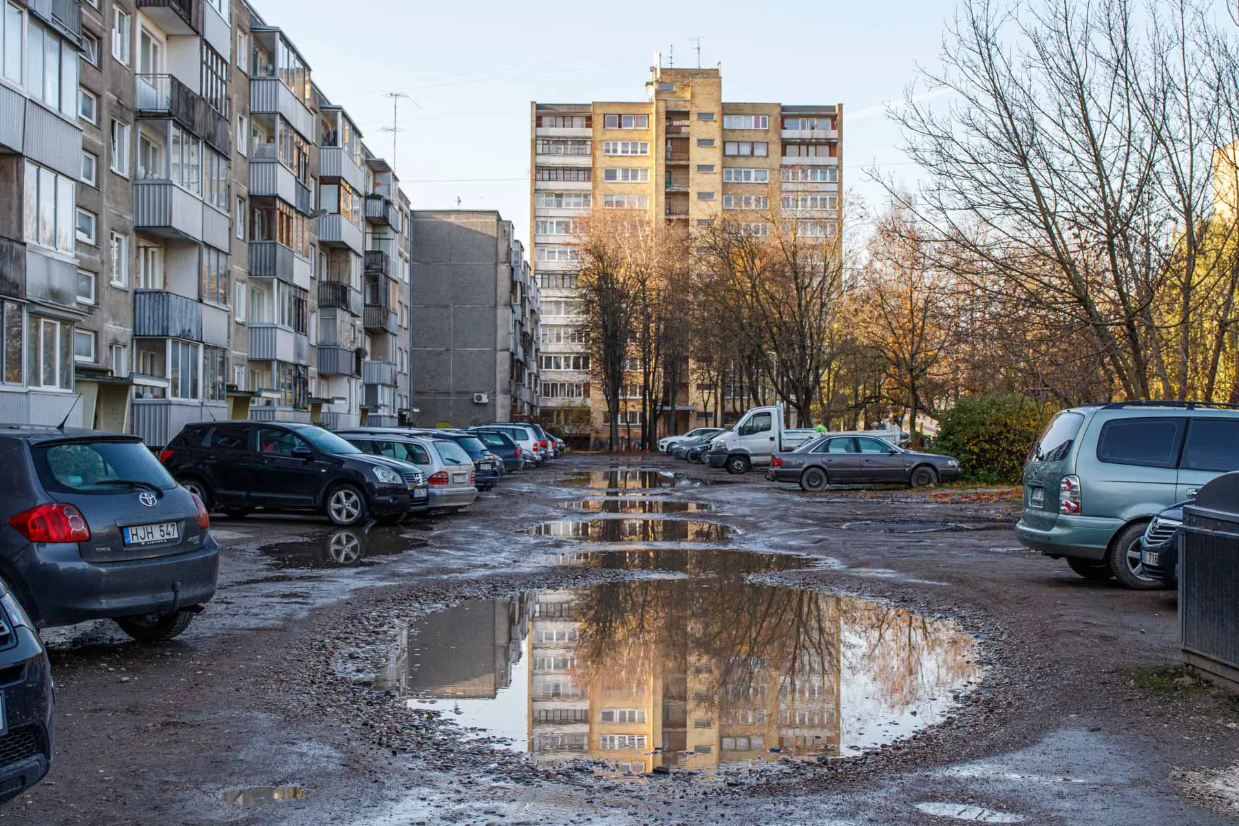 Duobėtas Taikos pr. 47 kiemas