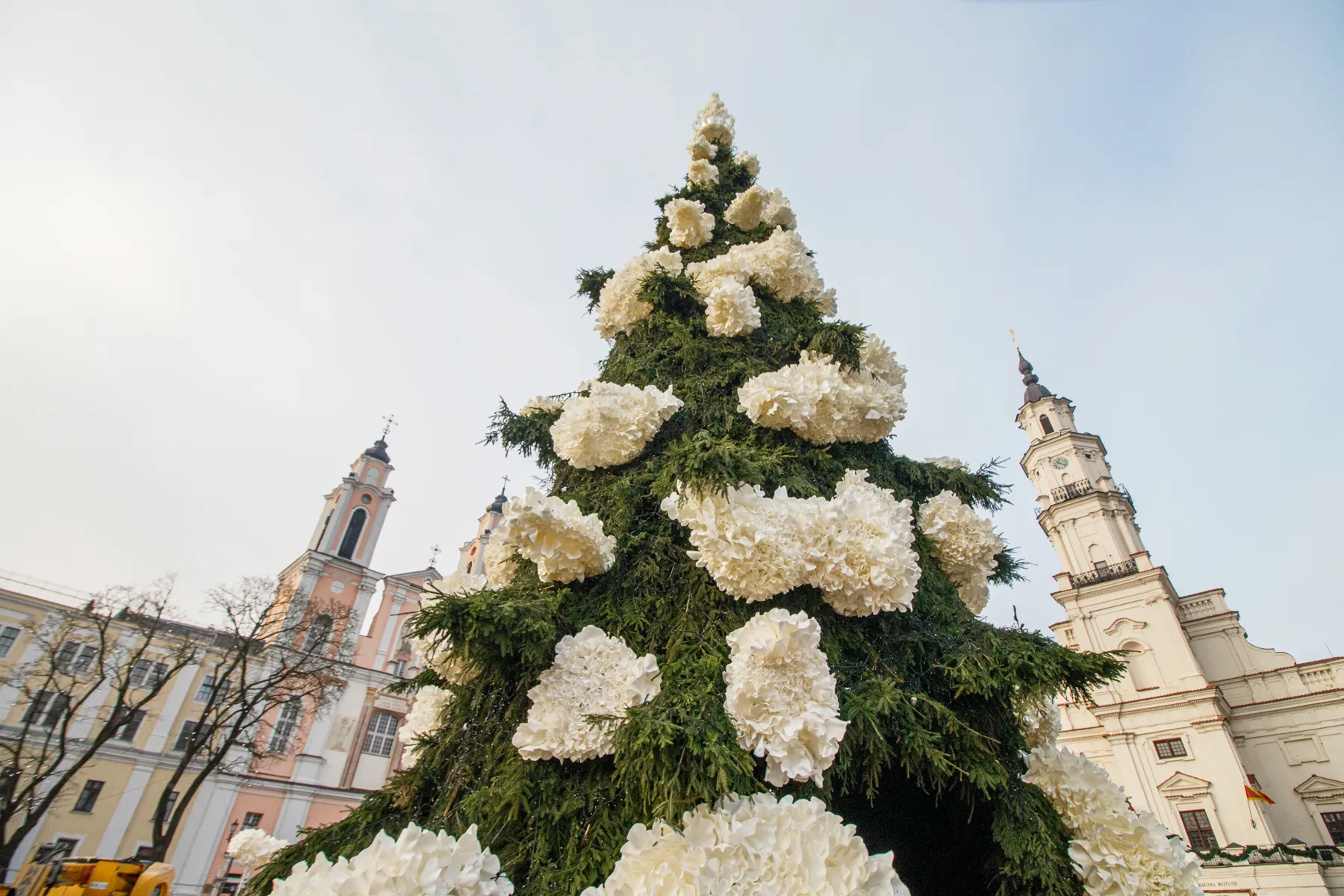 Kauno kalėdinė eglė