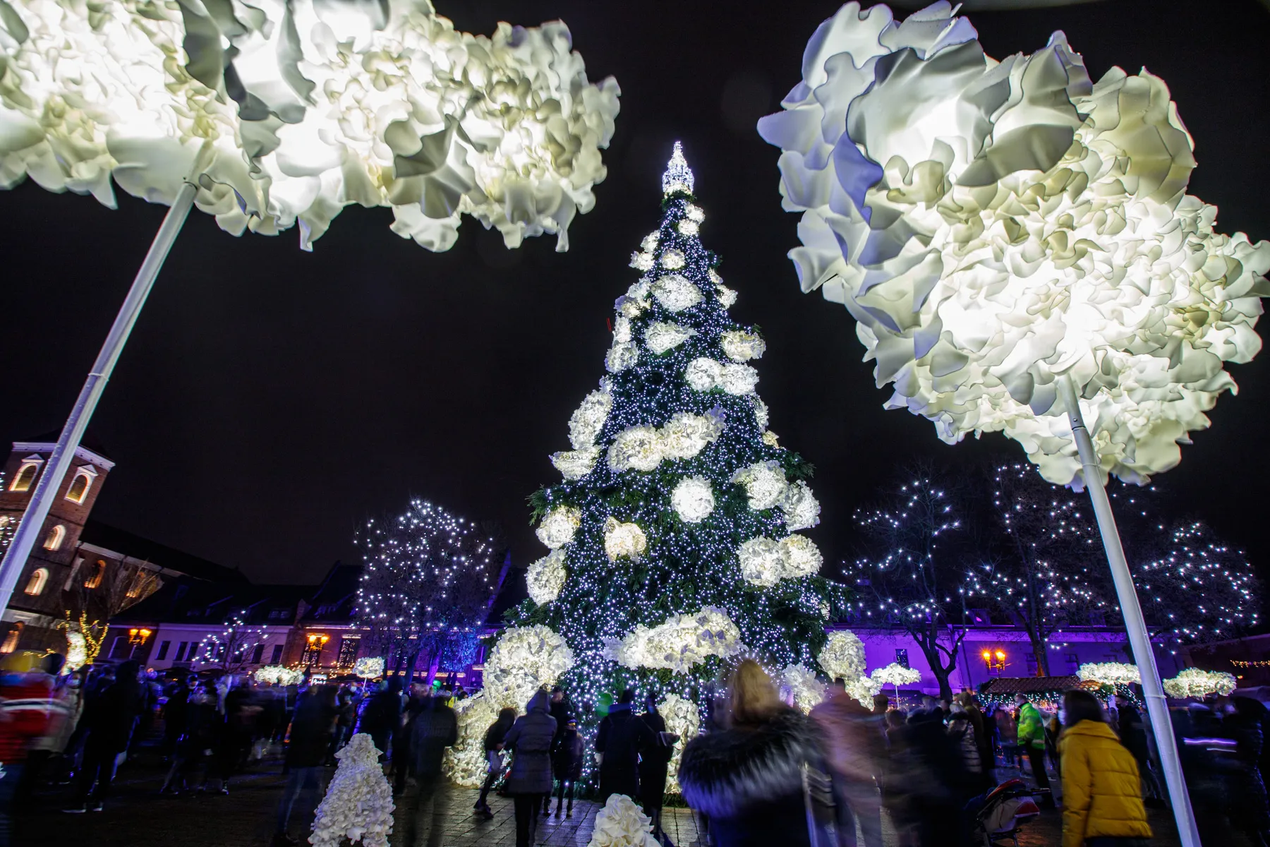 Kauno Kalėdų eglutė