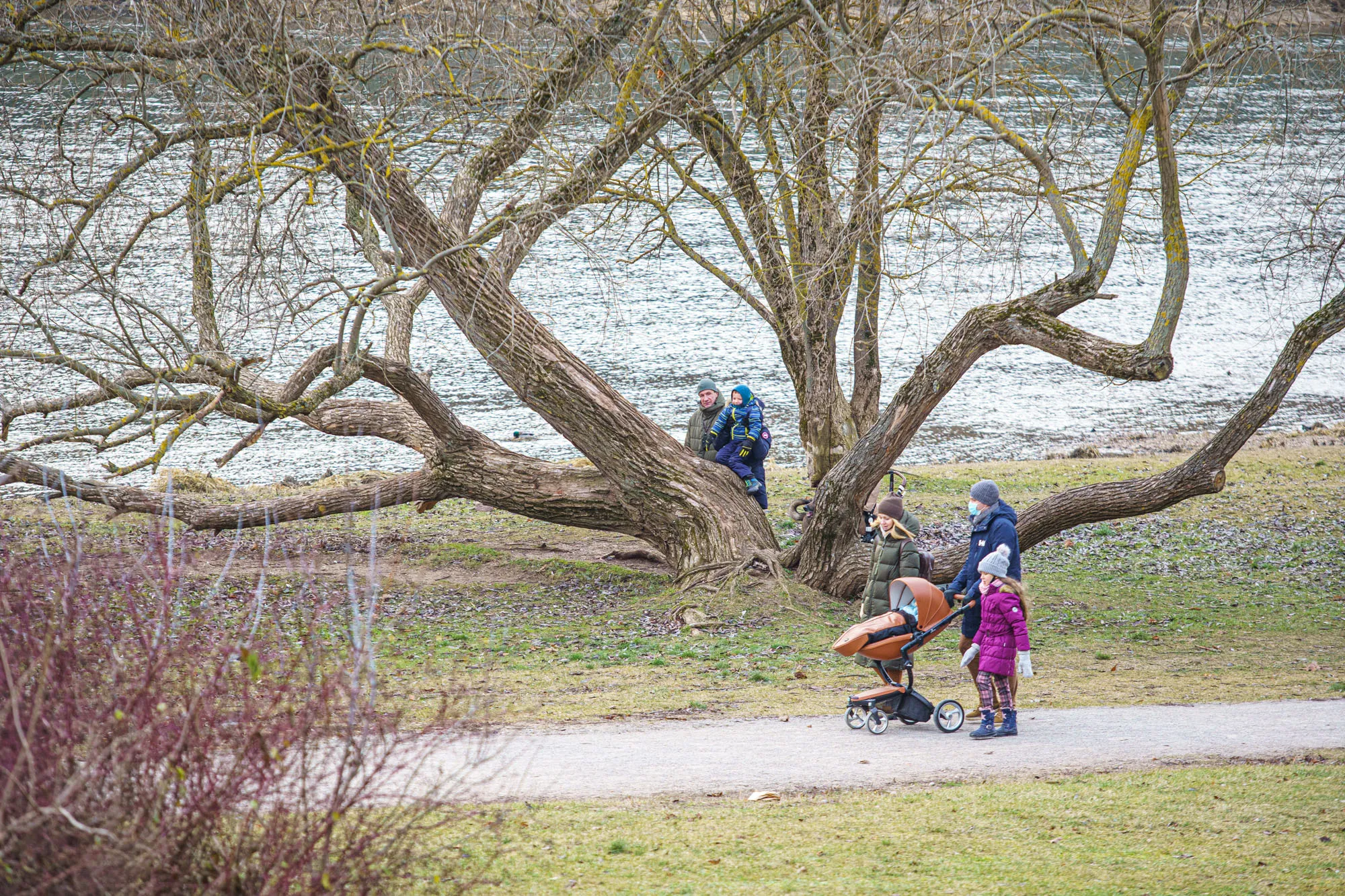 Premjerė: 2027-2028 metus Vyriausybė skelbs Šeimos metais