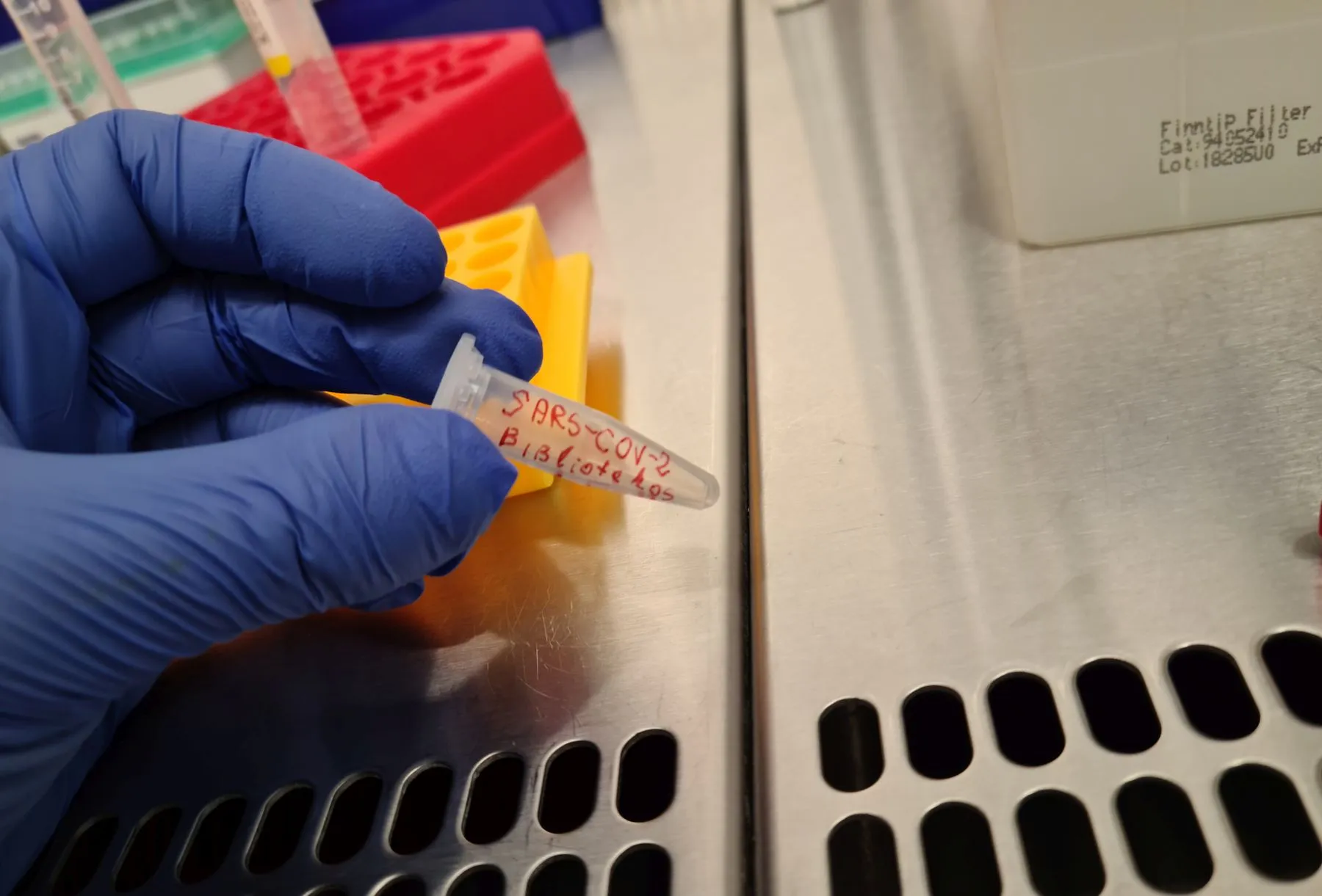 Genomotyrimas, korona