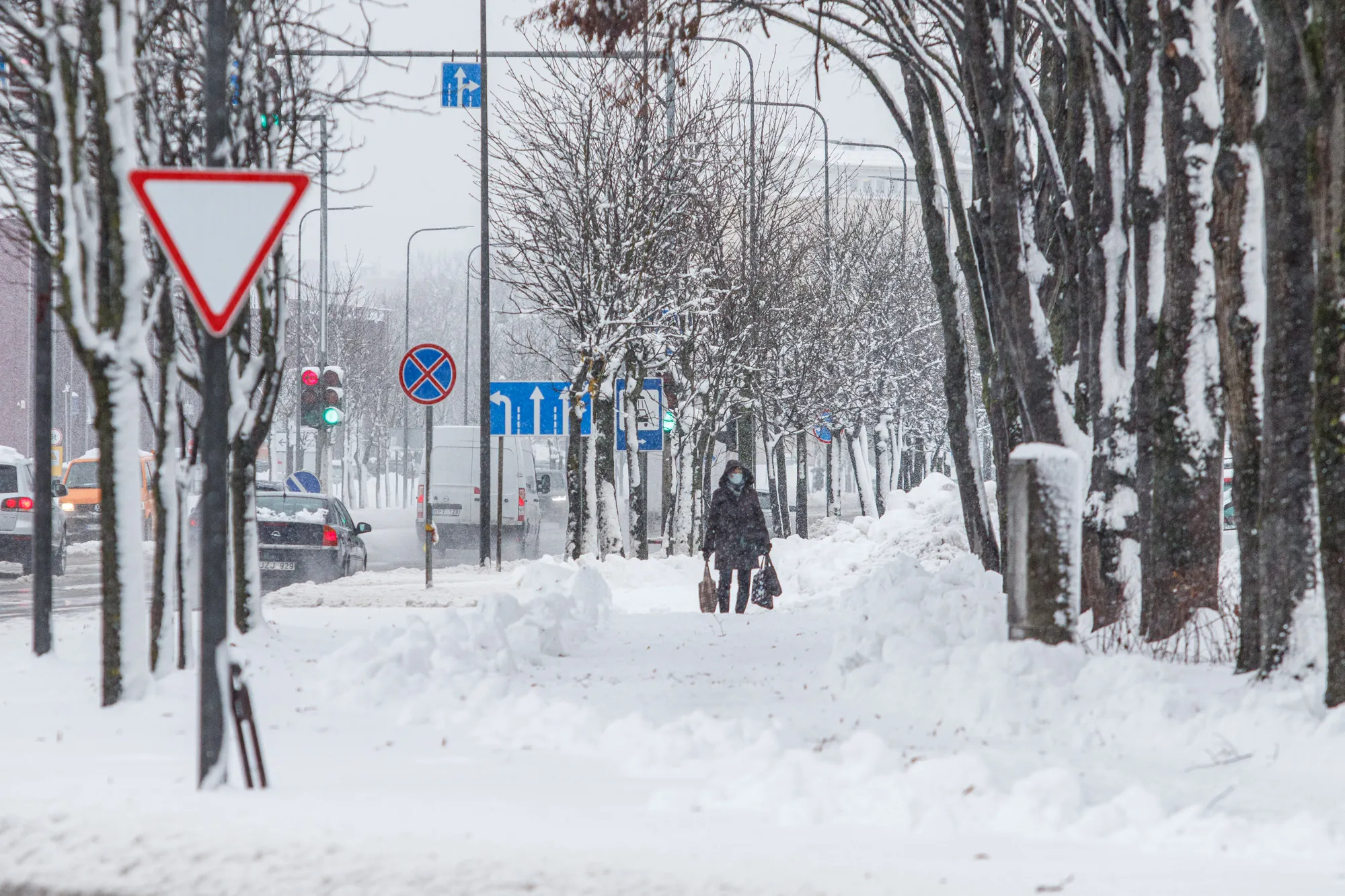 Gausus sniegas Kaune