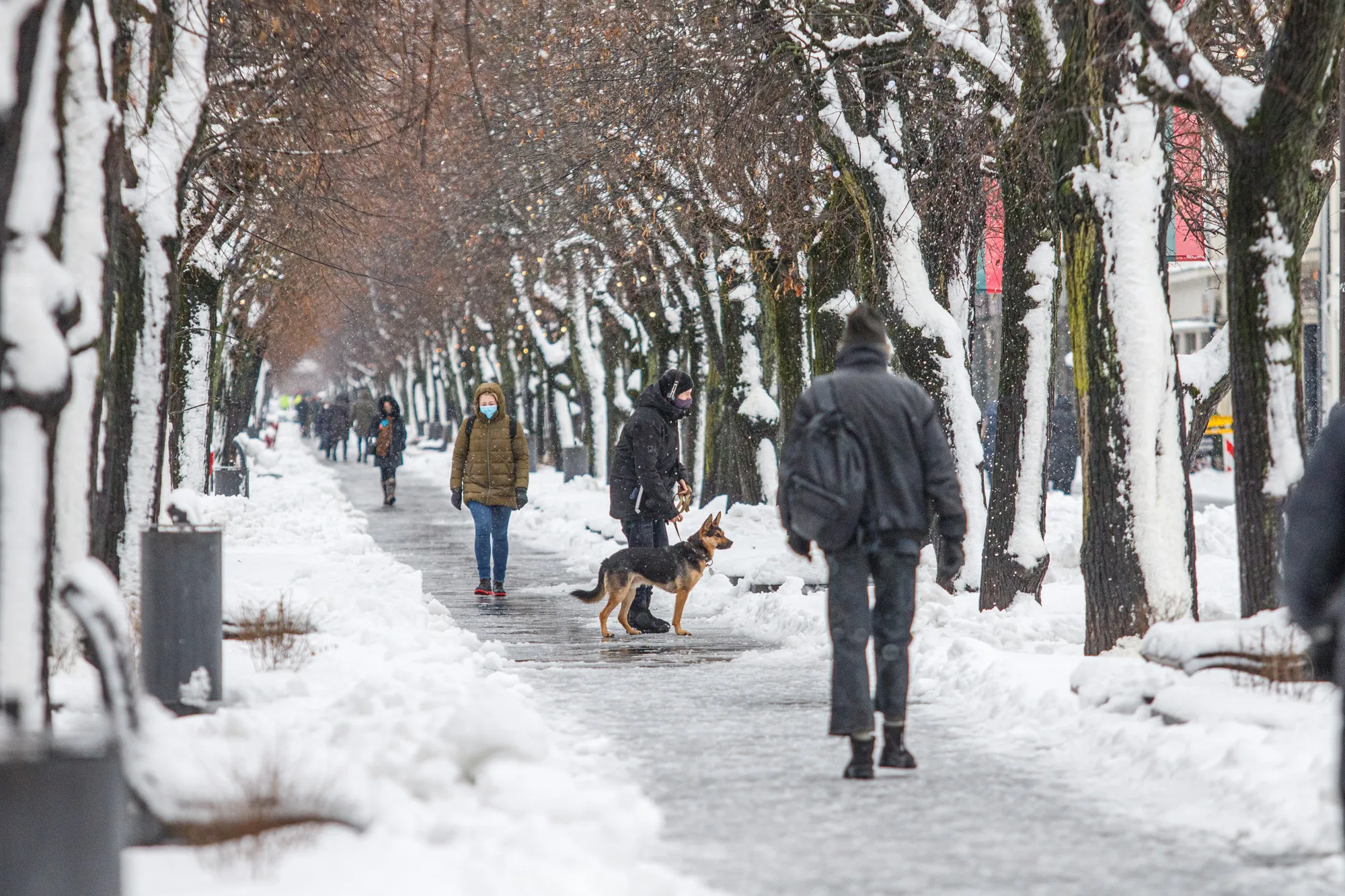 Gausus sniegas Kaune
