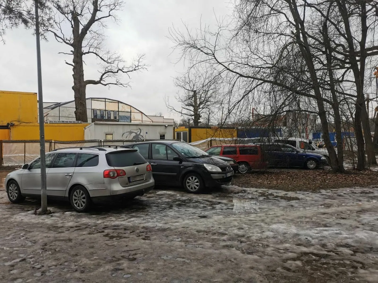 Ąžuolyne sustatyti automobiliai