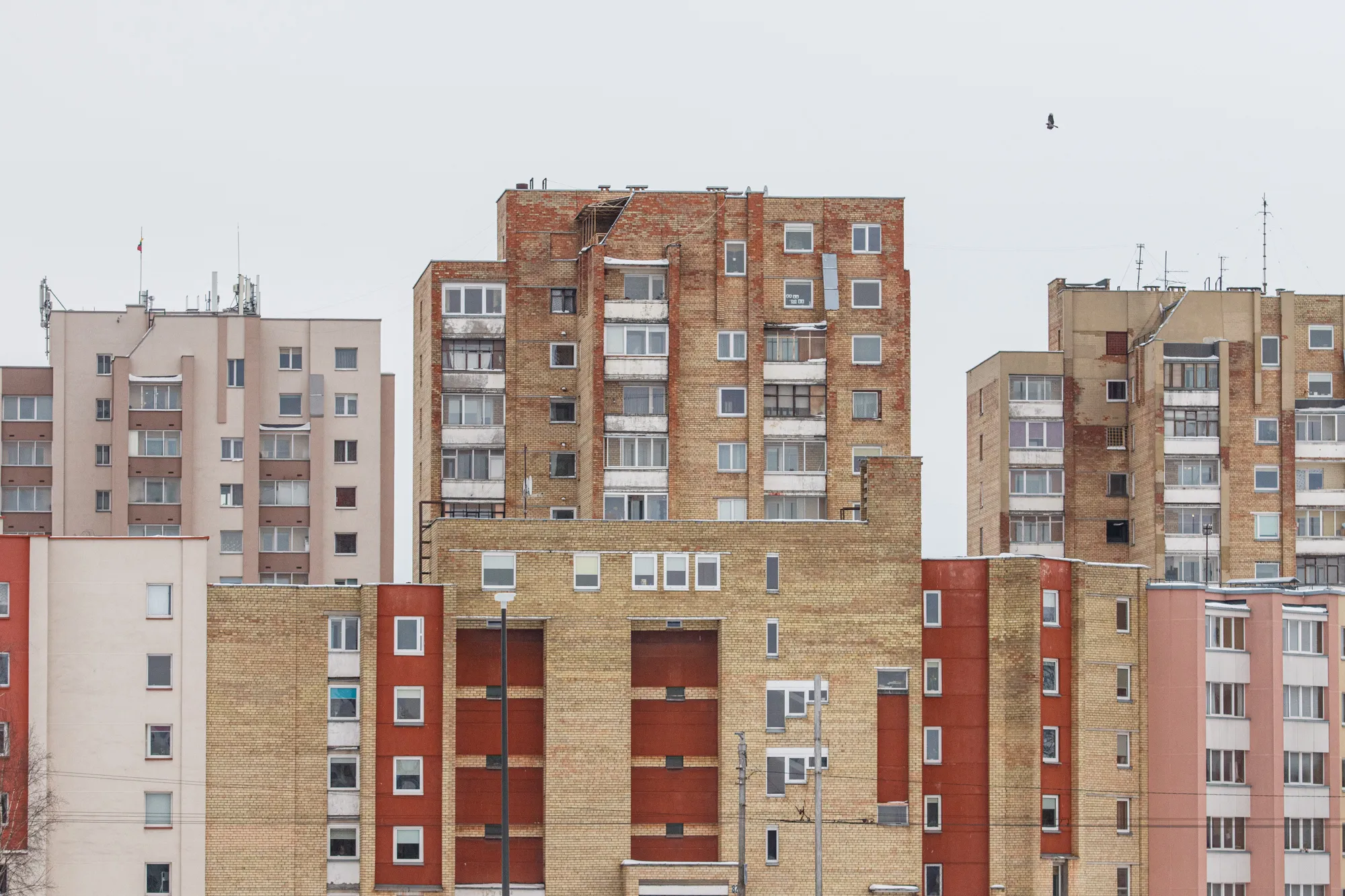 Bermudų trikampis - gyvenamasis kvartalas Dainavoje