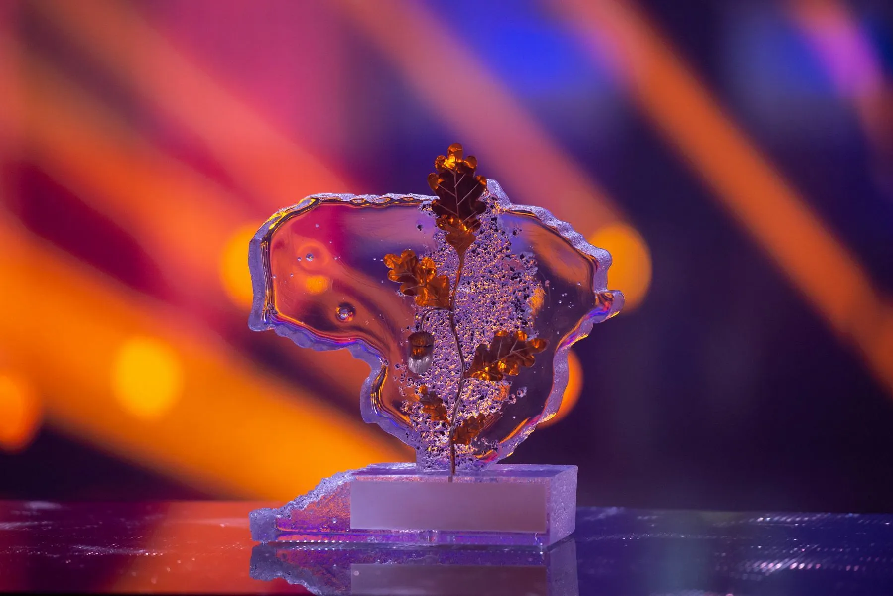 Apdovanojimai „Aš-dalis tavęs“