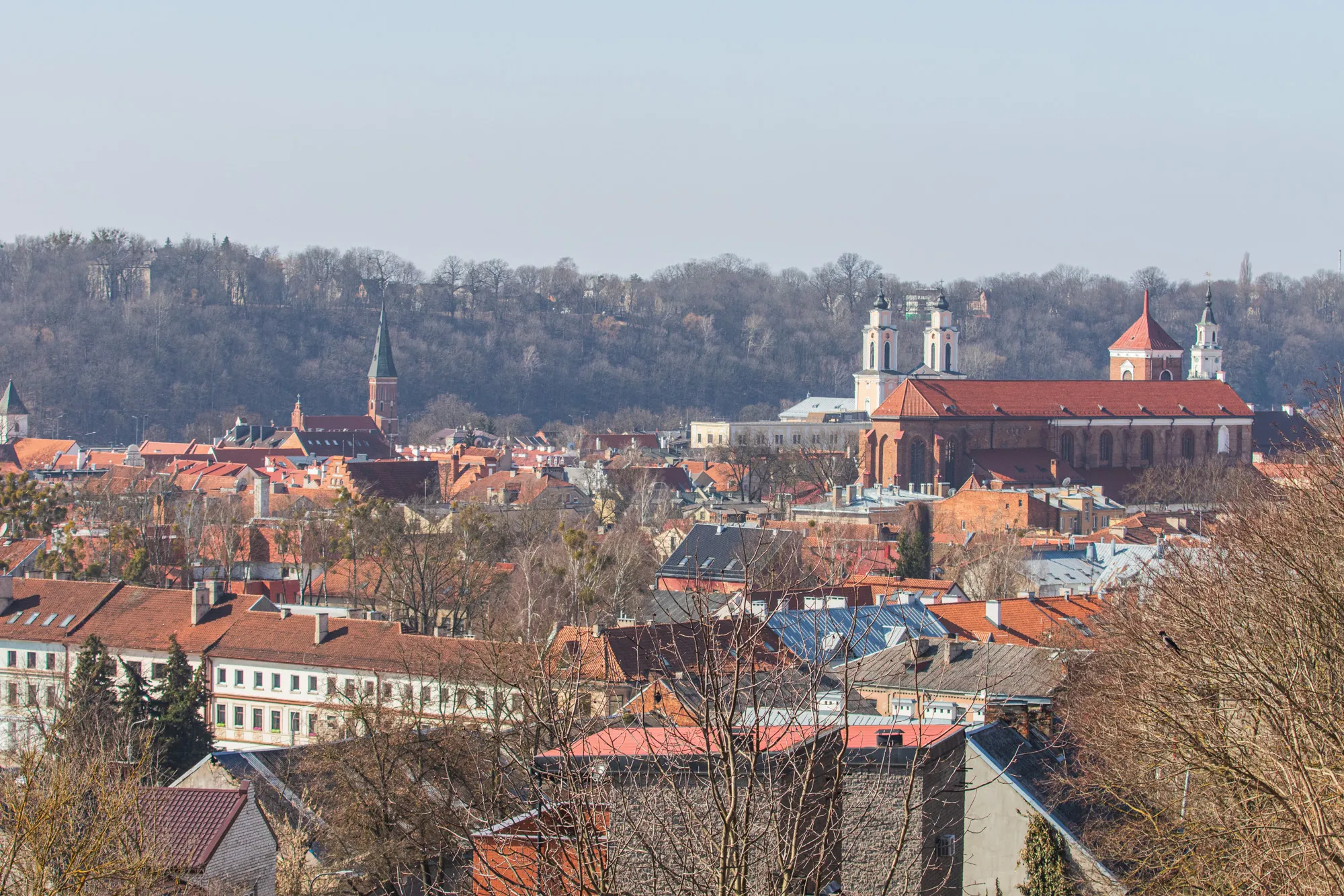 J. Zikaro namai-muziejus