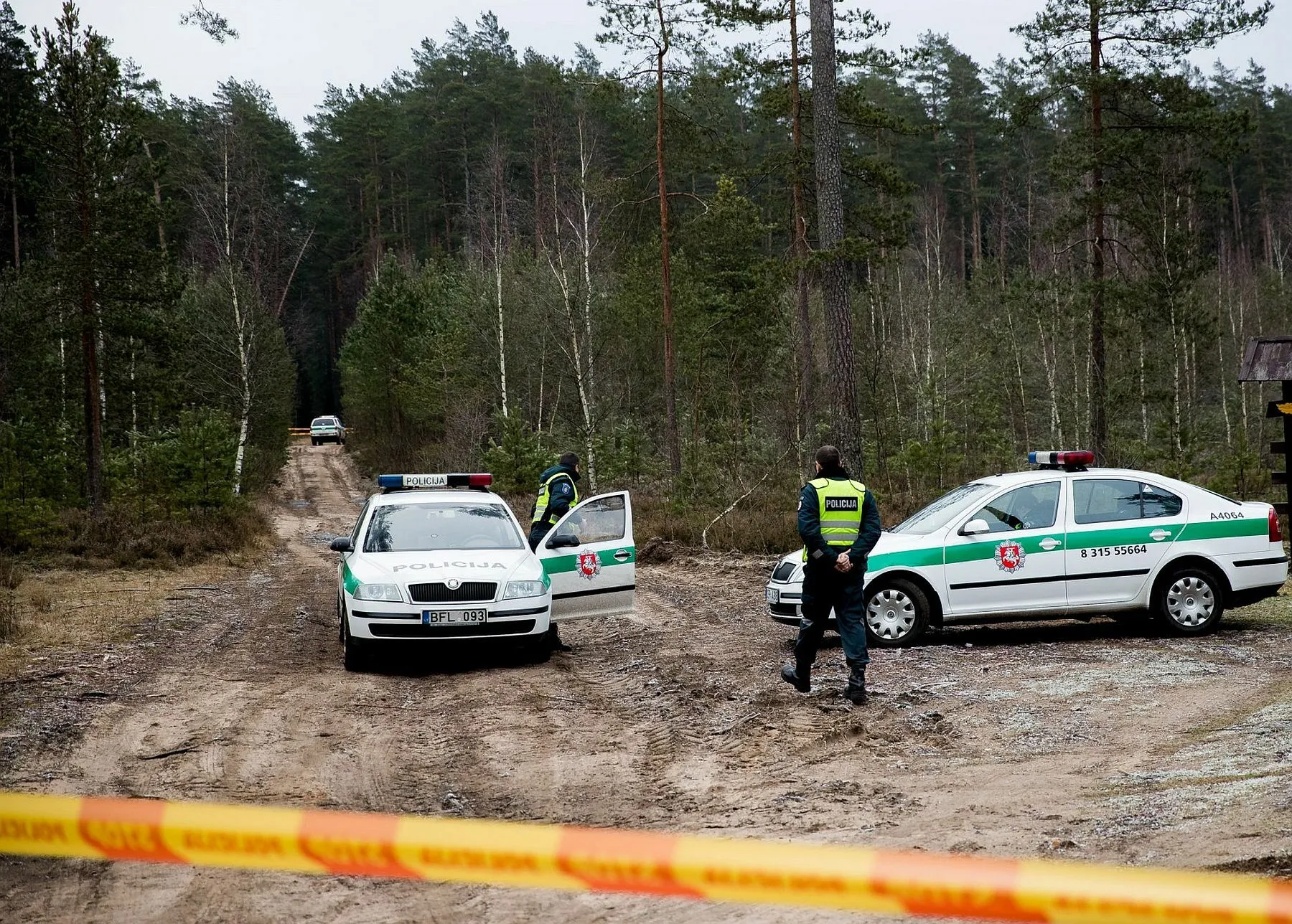 policija, miškas, stop