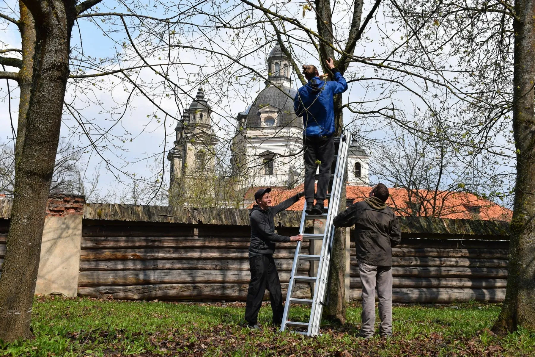 Pažaislio vienuolyno parke pakabinti inkliai / Kauno marių regioninio parko nuotr.