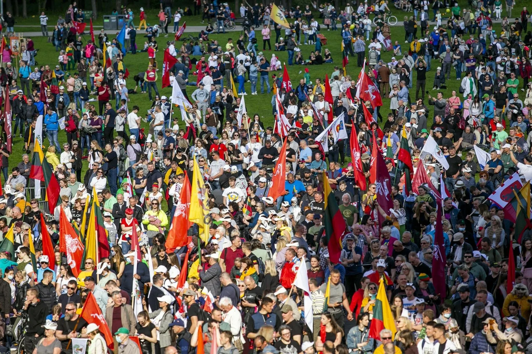 Didysis šeimų gynimo maršas