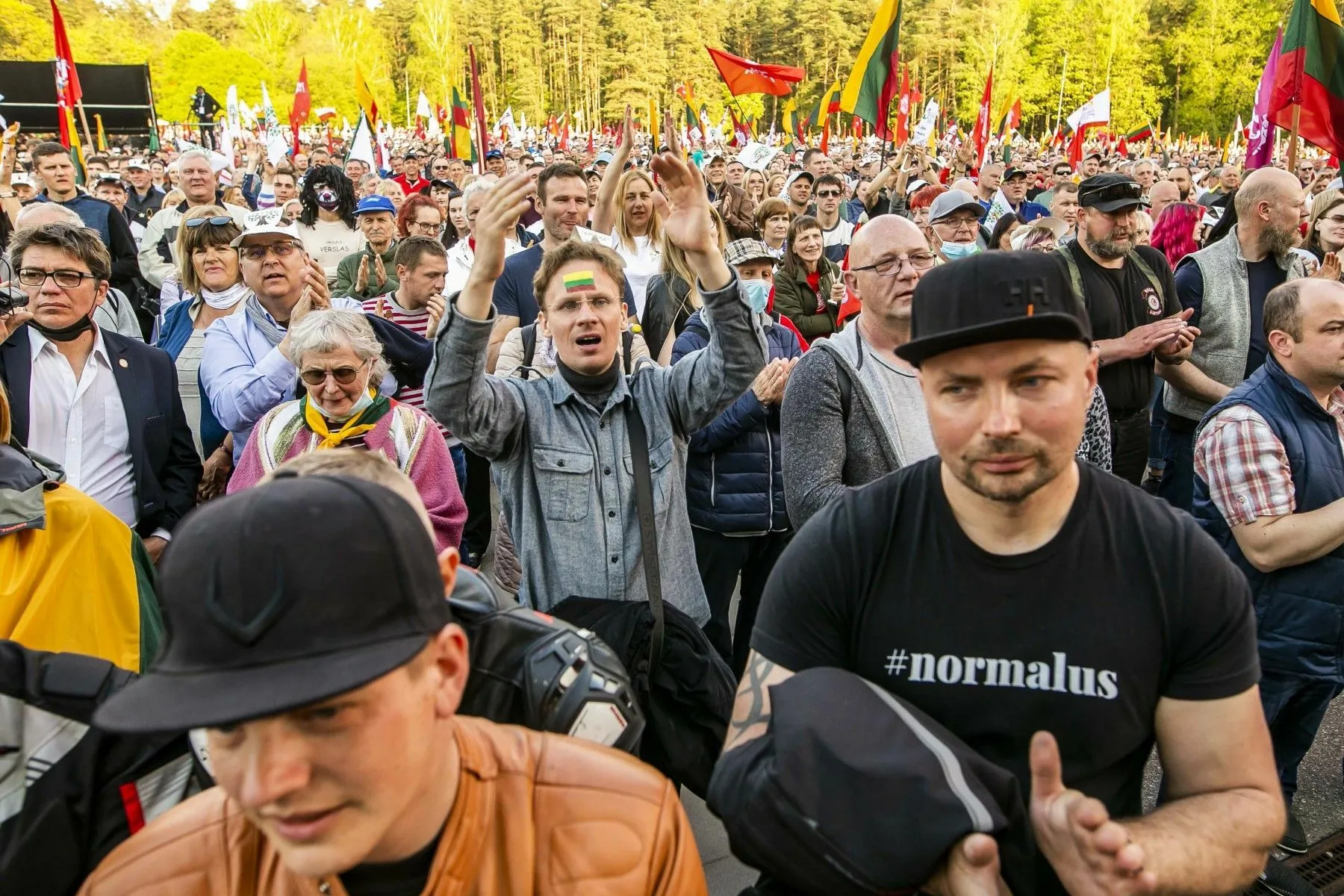 Didysis šeimų gynimo maršas