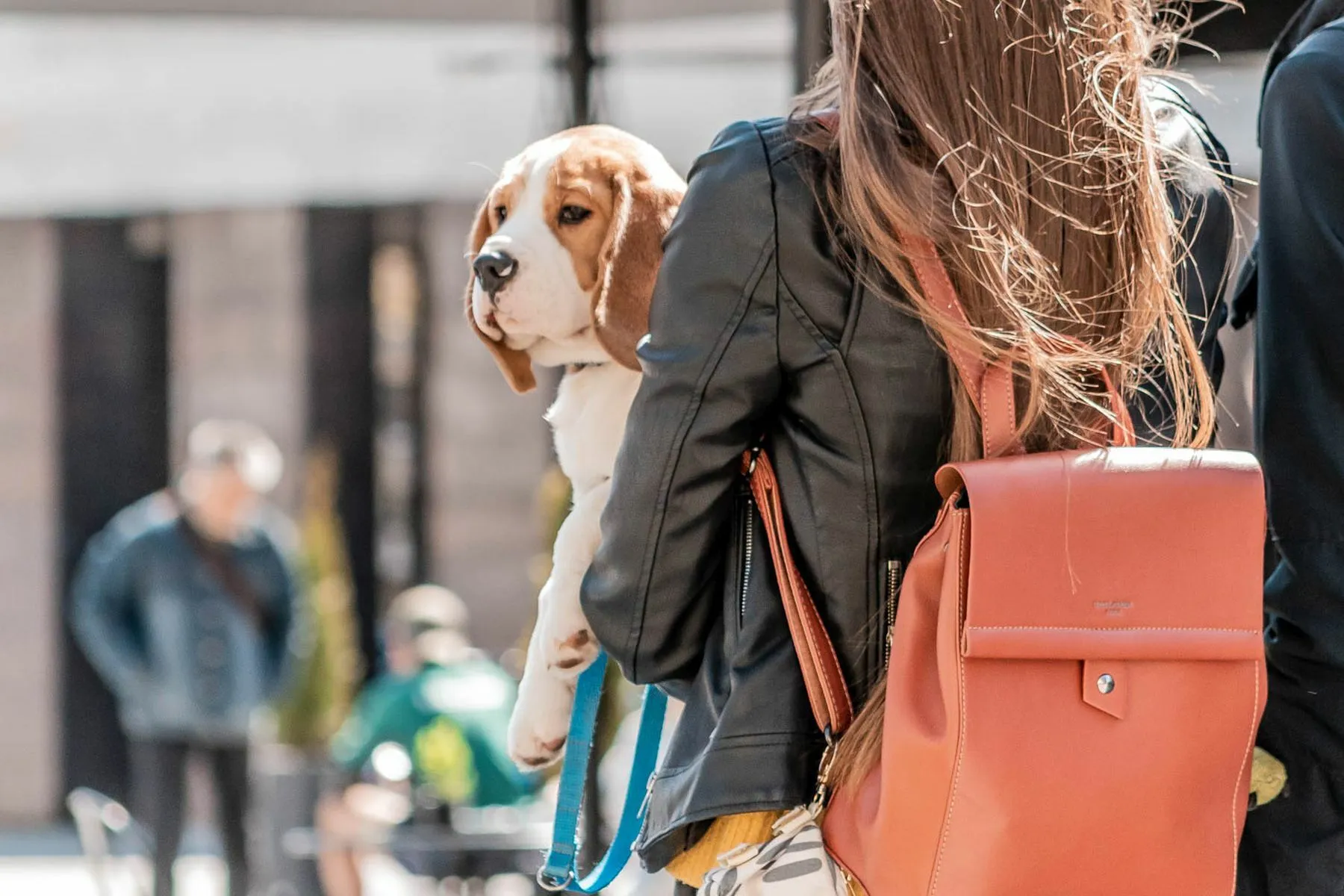 Augintinių konkursas / R. Vilniūtės nuotr.