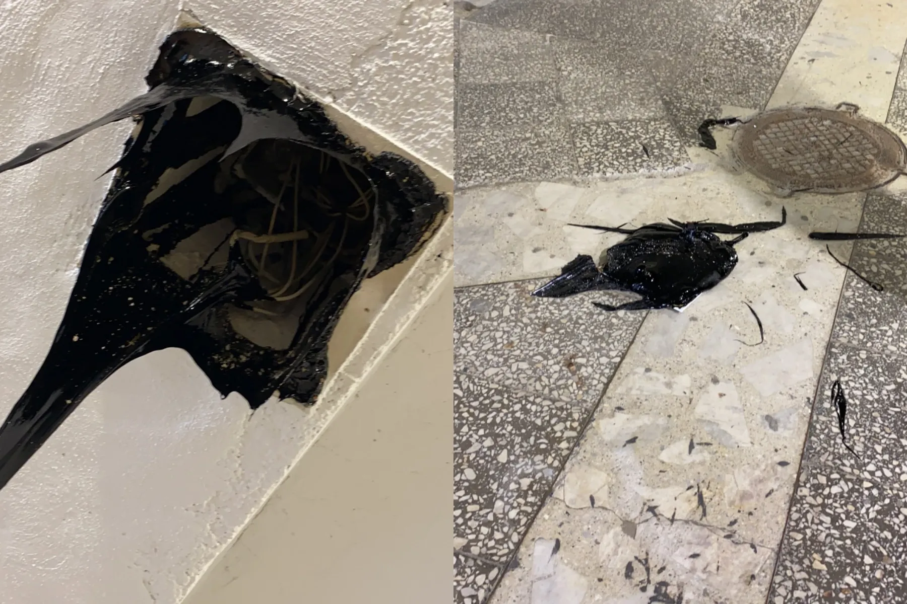 Smala požeminėje „Aklųjų“ perėjoje