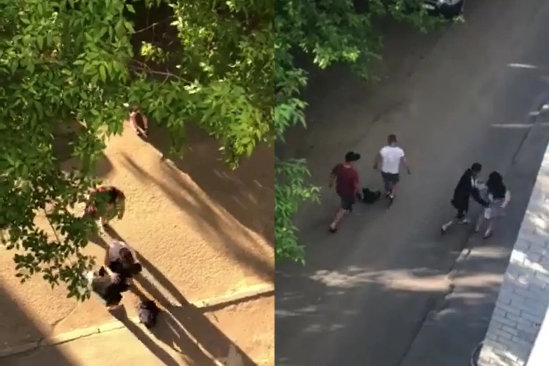 Konfliktas V. Krėvės prospekte