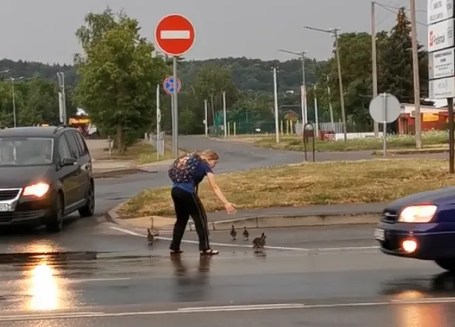 Per gavę moteris palydėjo ančiukus