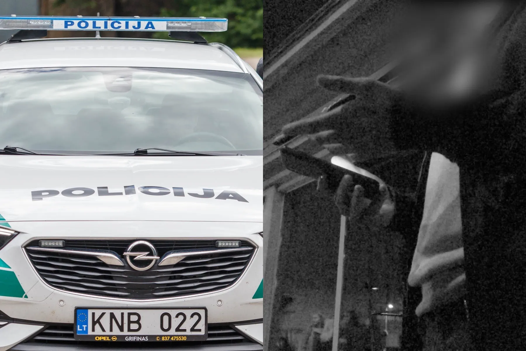 policija, padirbtas galimybių pasas