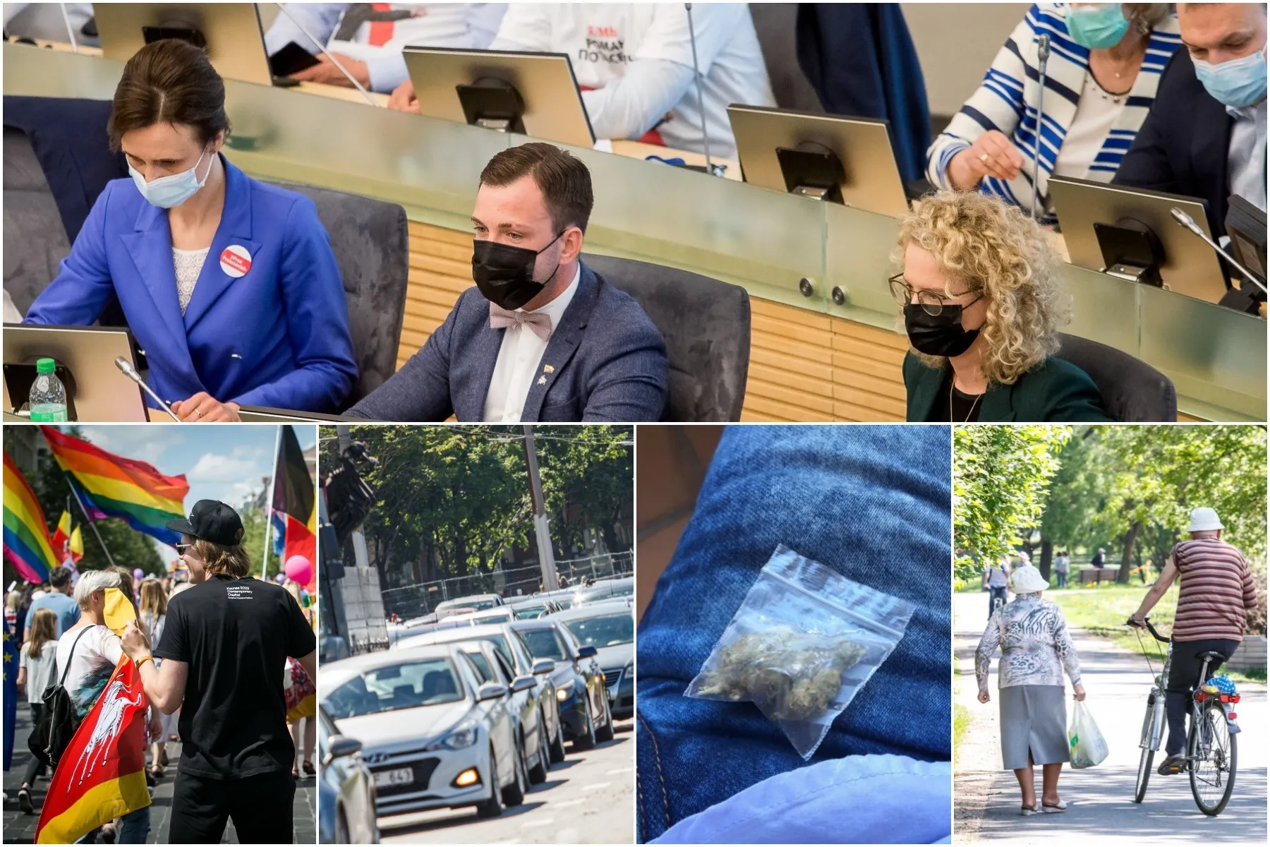 Seimas, įstatymų projektai