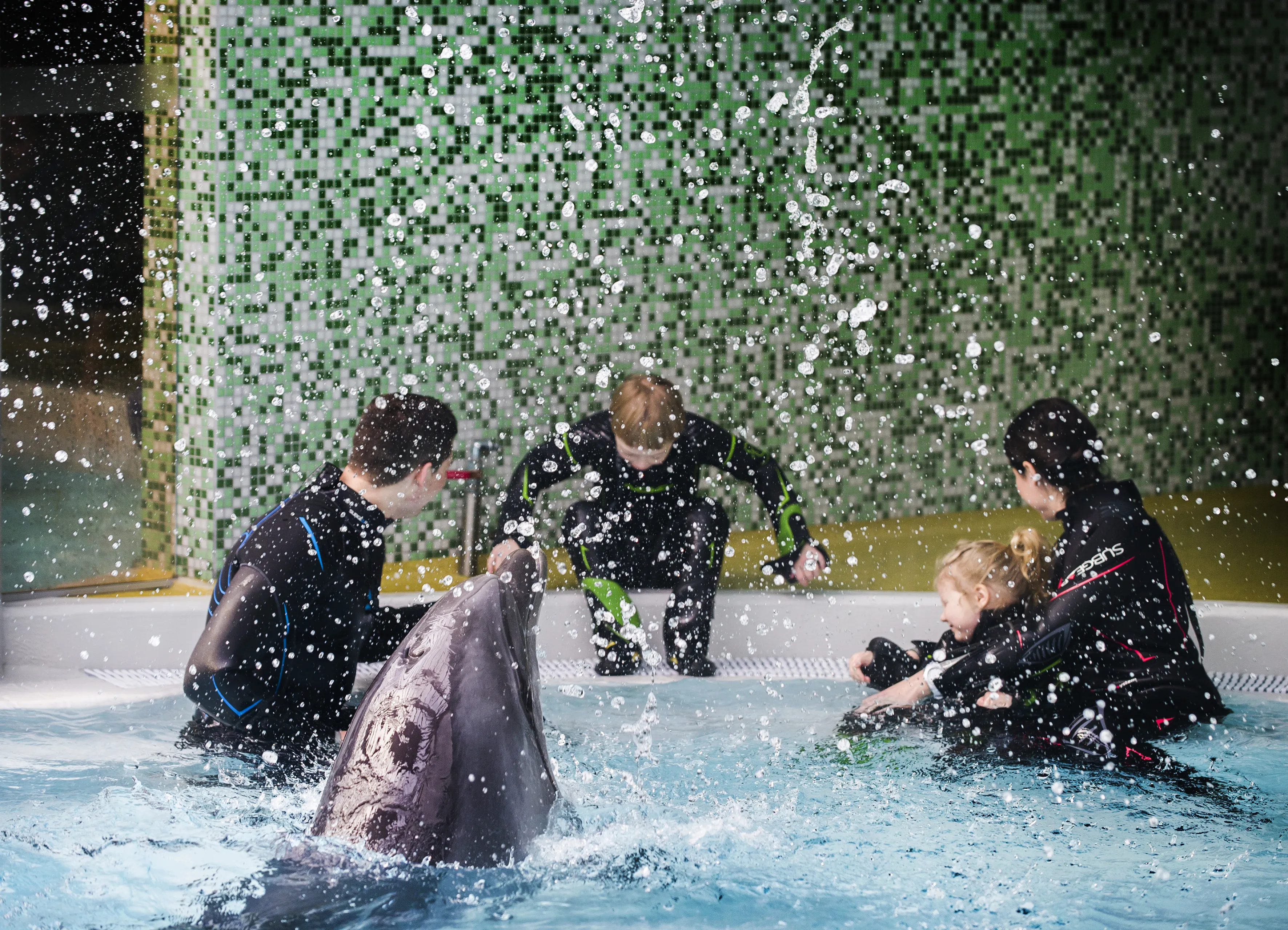 Tau ledai, o jiems delfinų pagalba