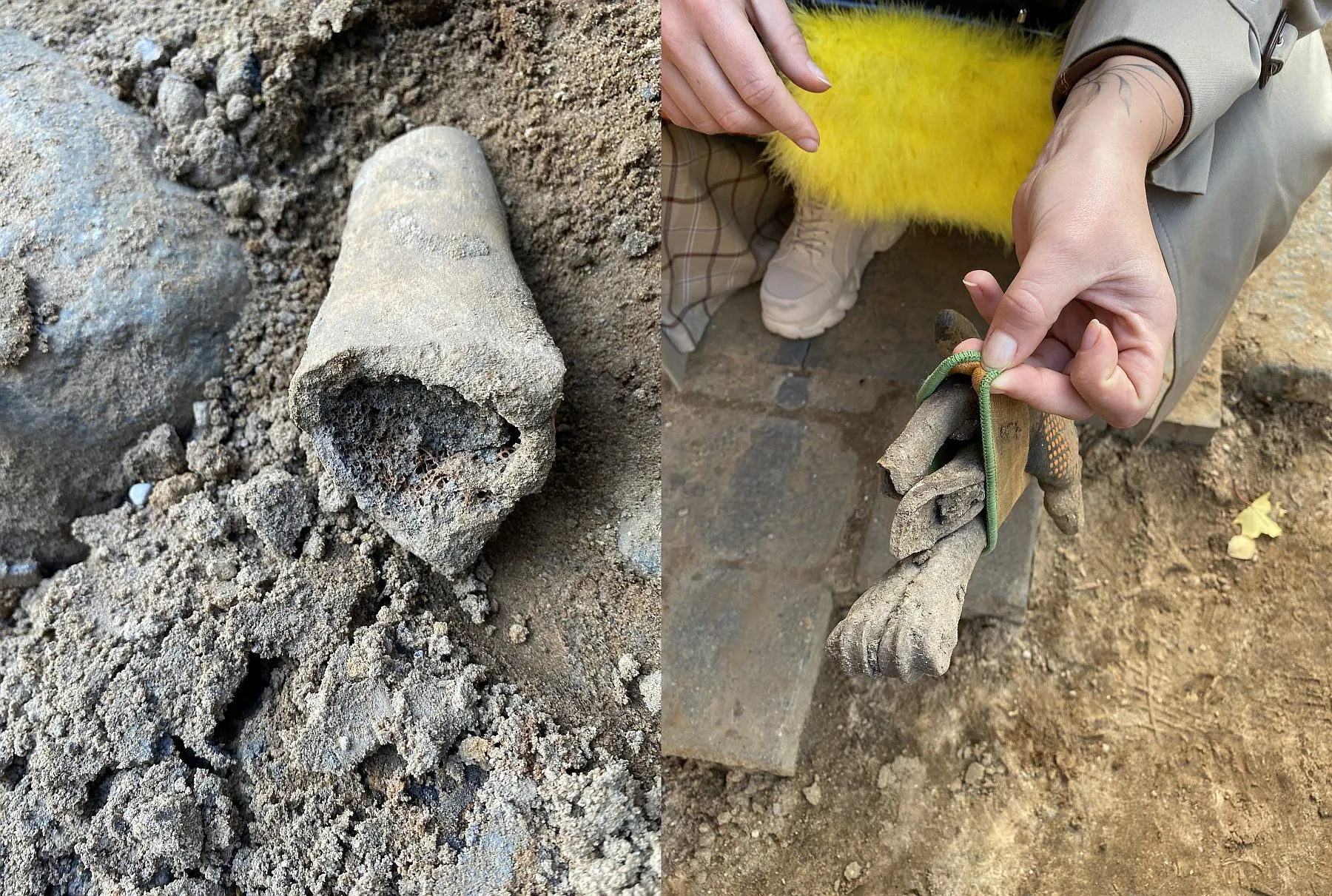 Kaulai Vilniaus gatvėje