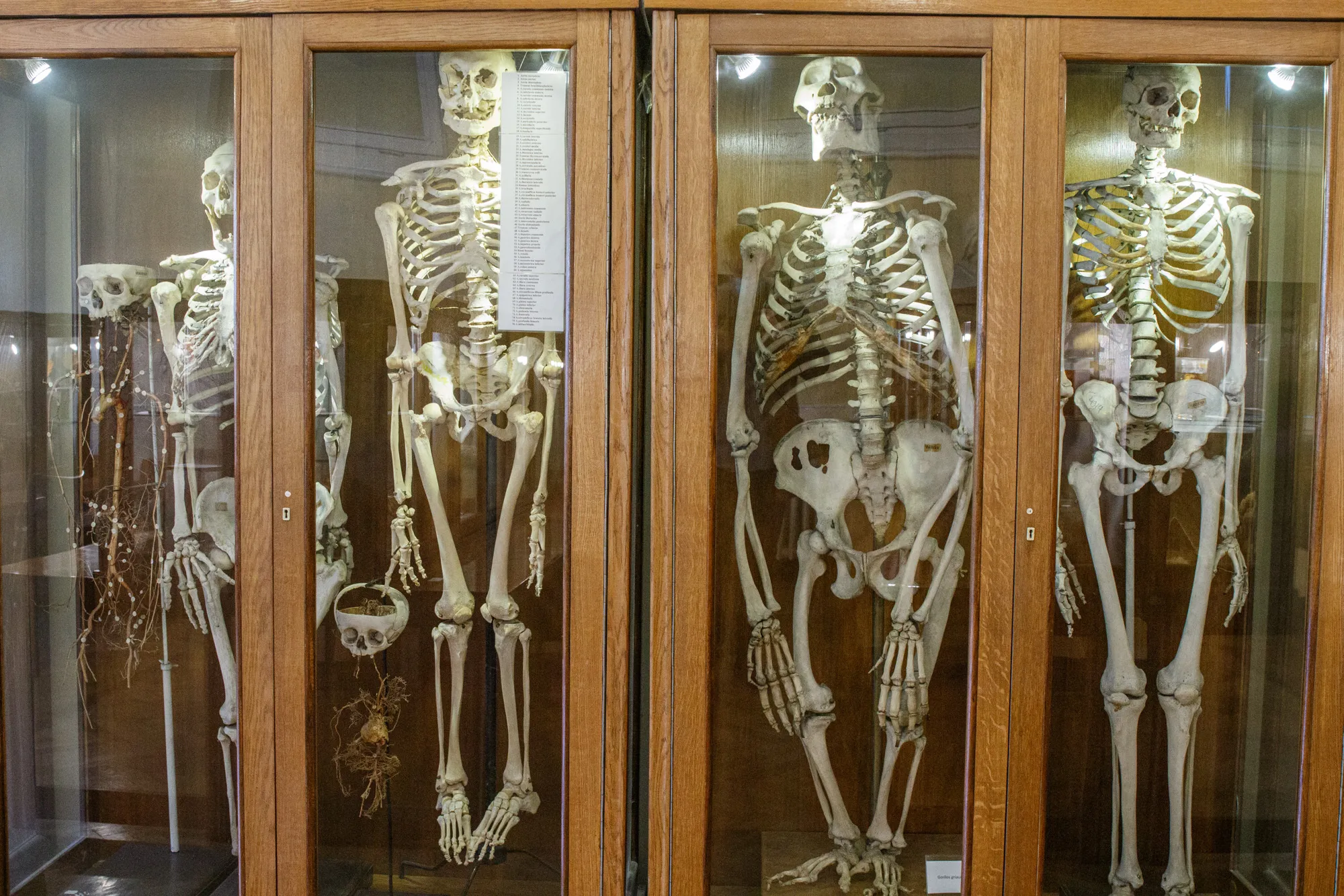 Į šį Kauno muziejų išdrįs įžengti ne kiekvienas