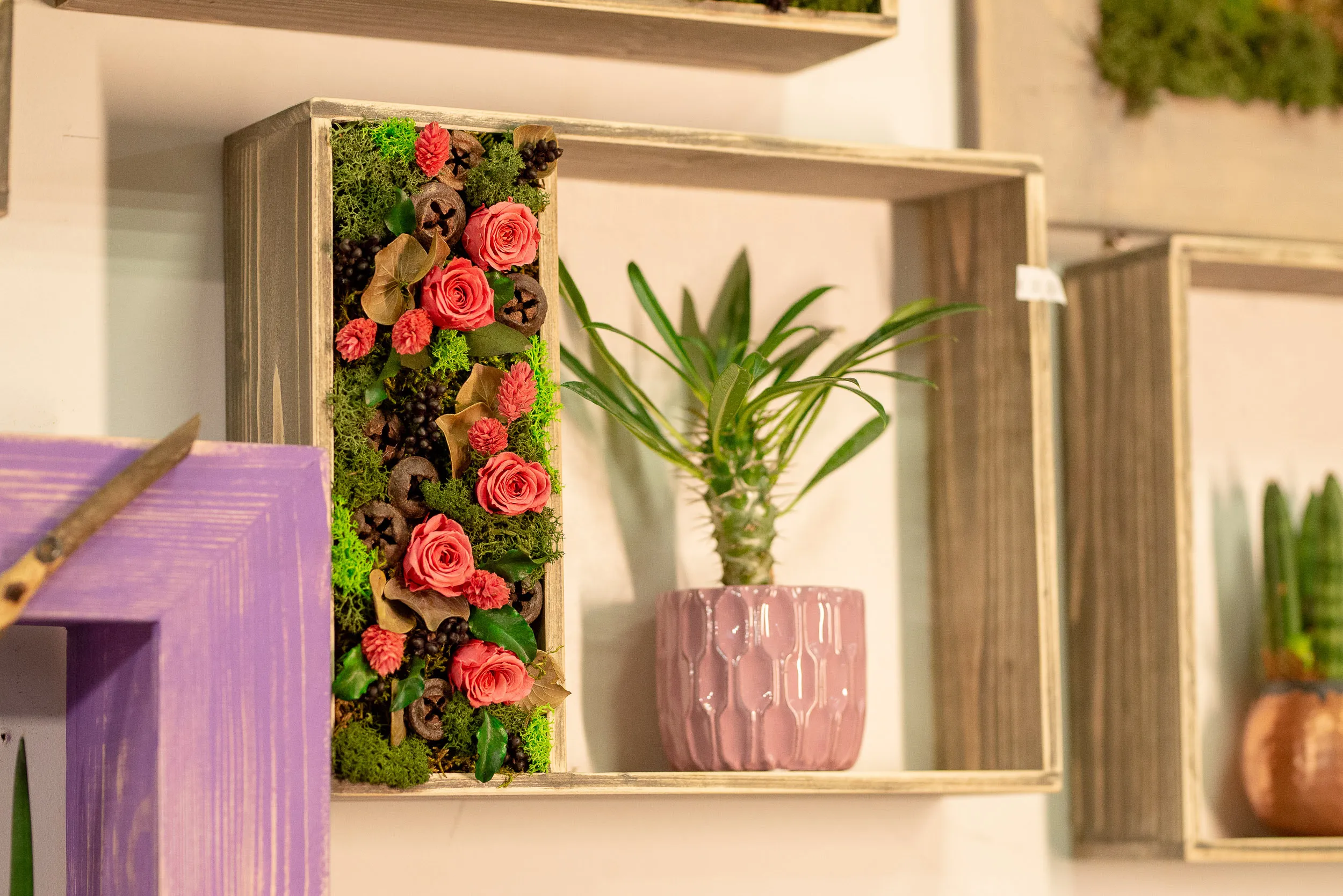 Paveikslai iš tikrų gėlių