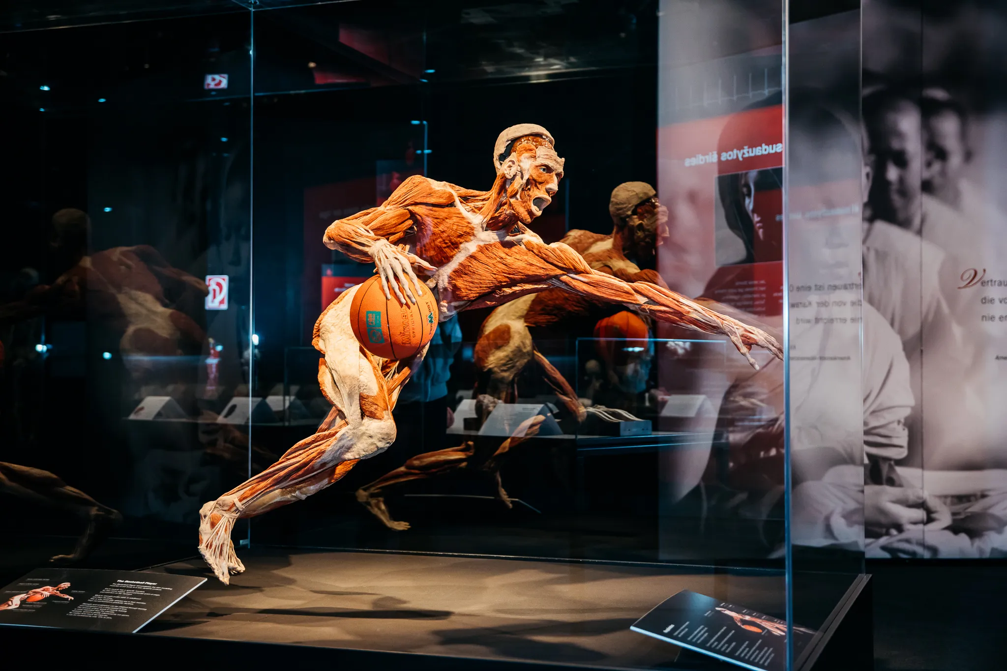 „Body works“ paroda