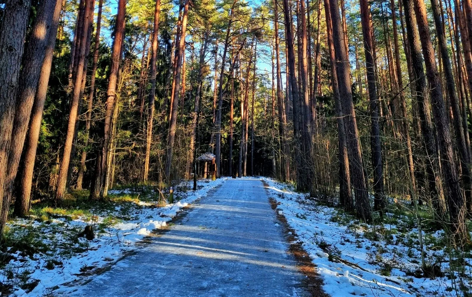 Birštone atnaujintas sveikatingumo takas