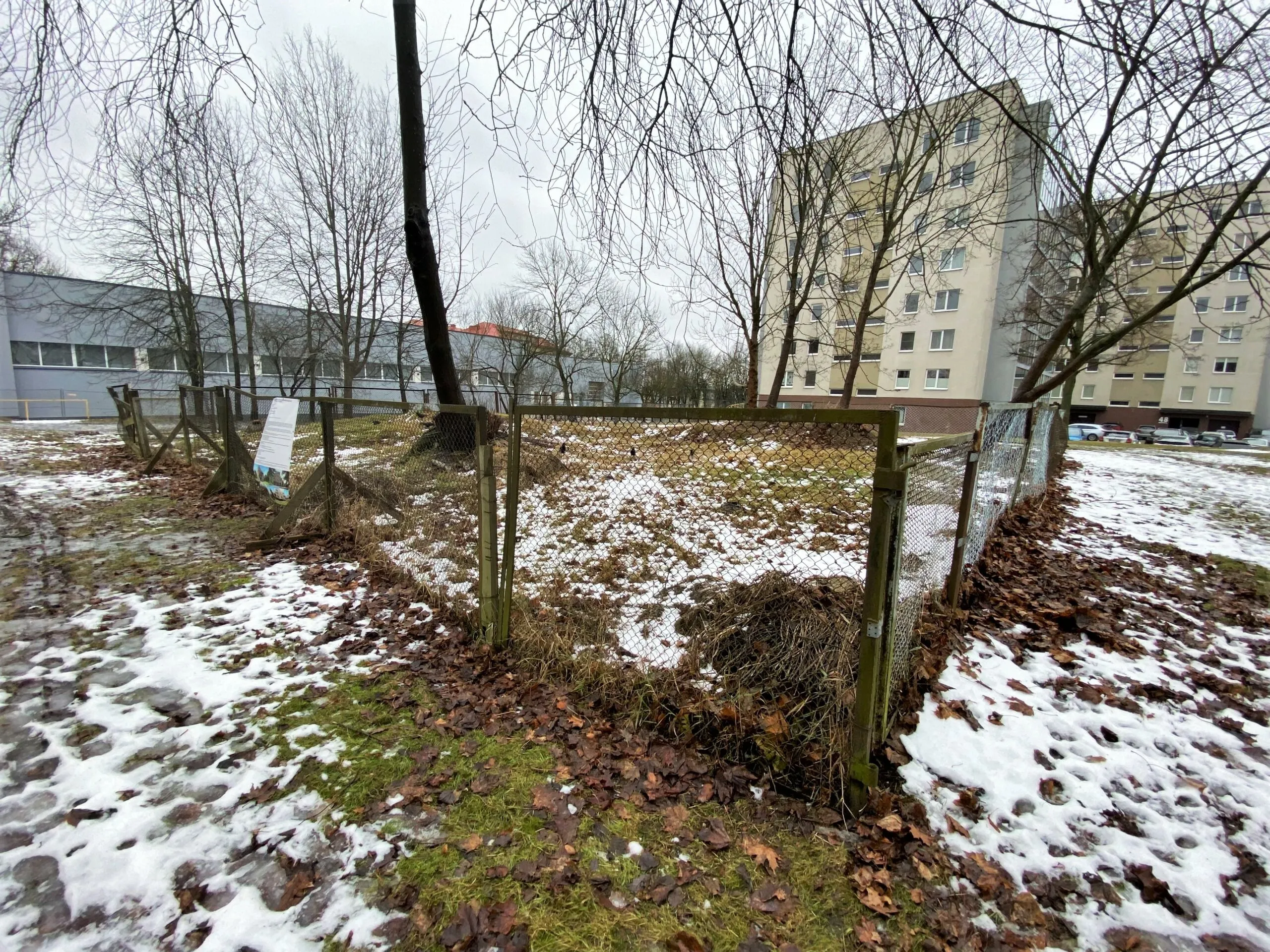 Sklypas Archyvo g. 52