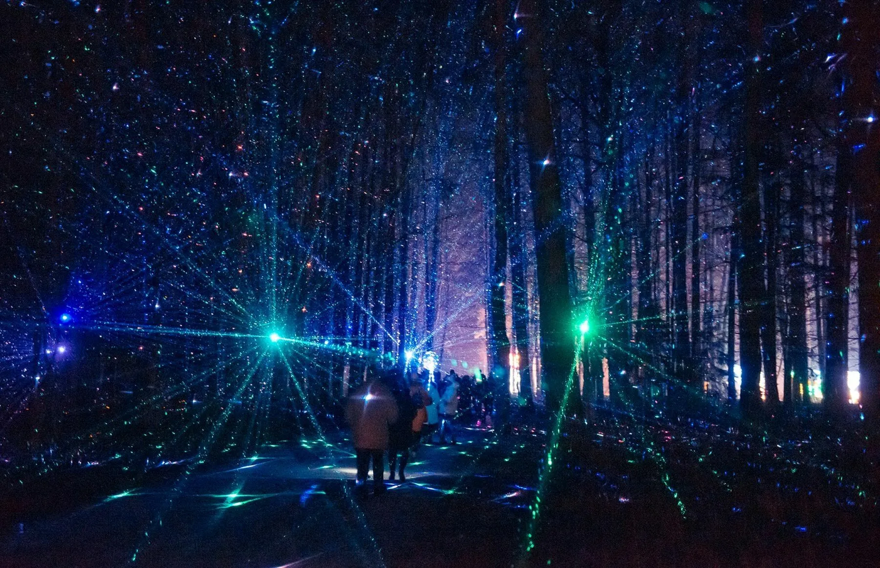 Šviesų festivalis Rumšiškėse