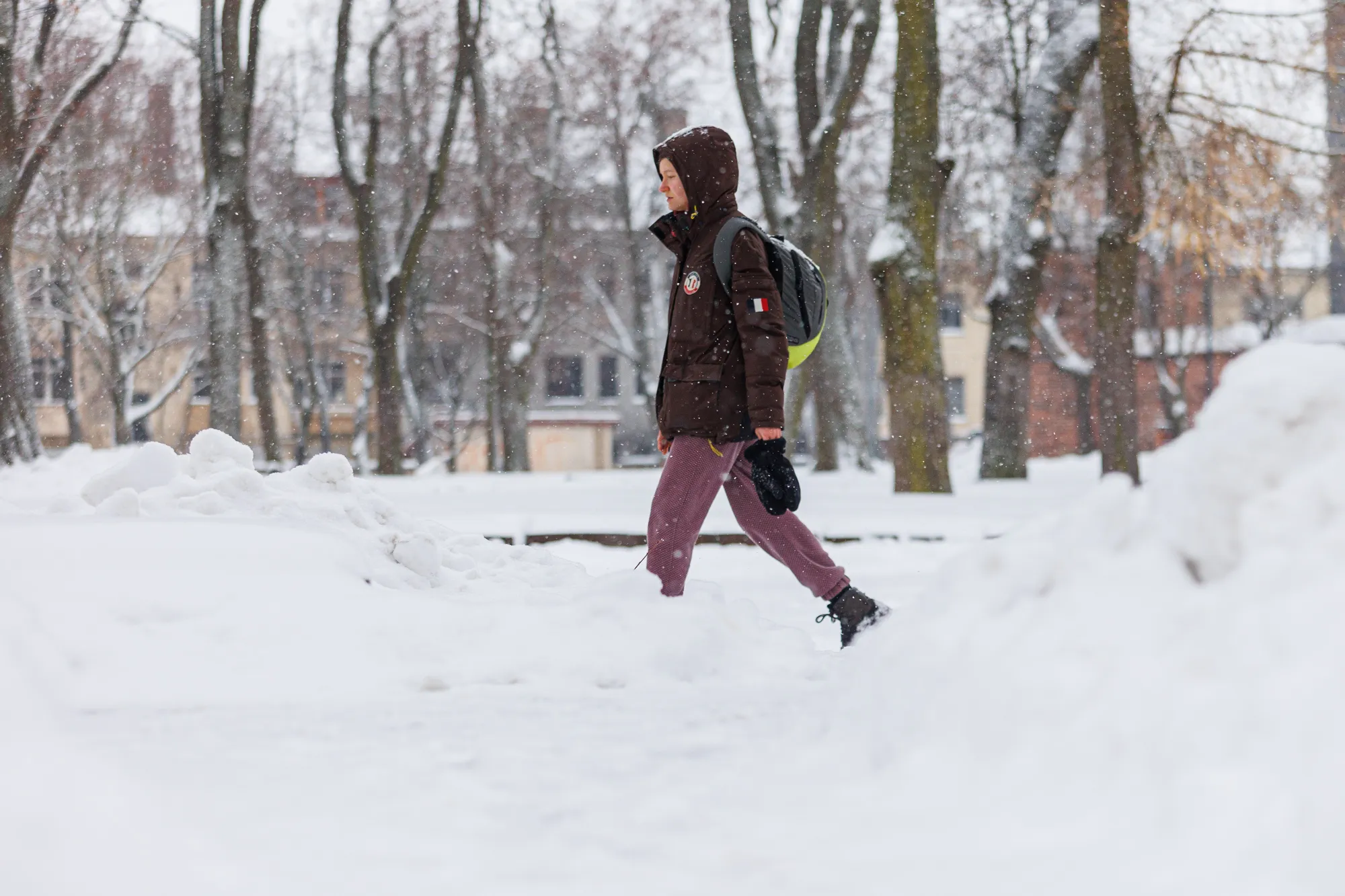 Gausus sniegas Kaune