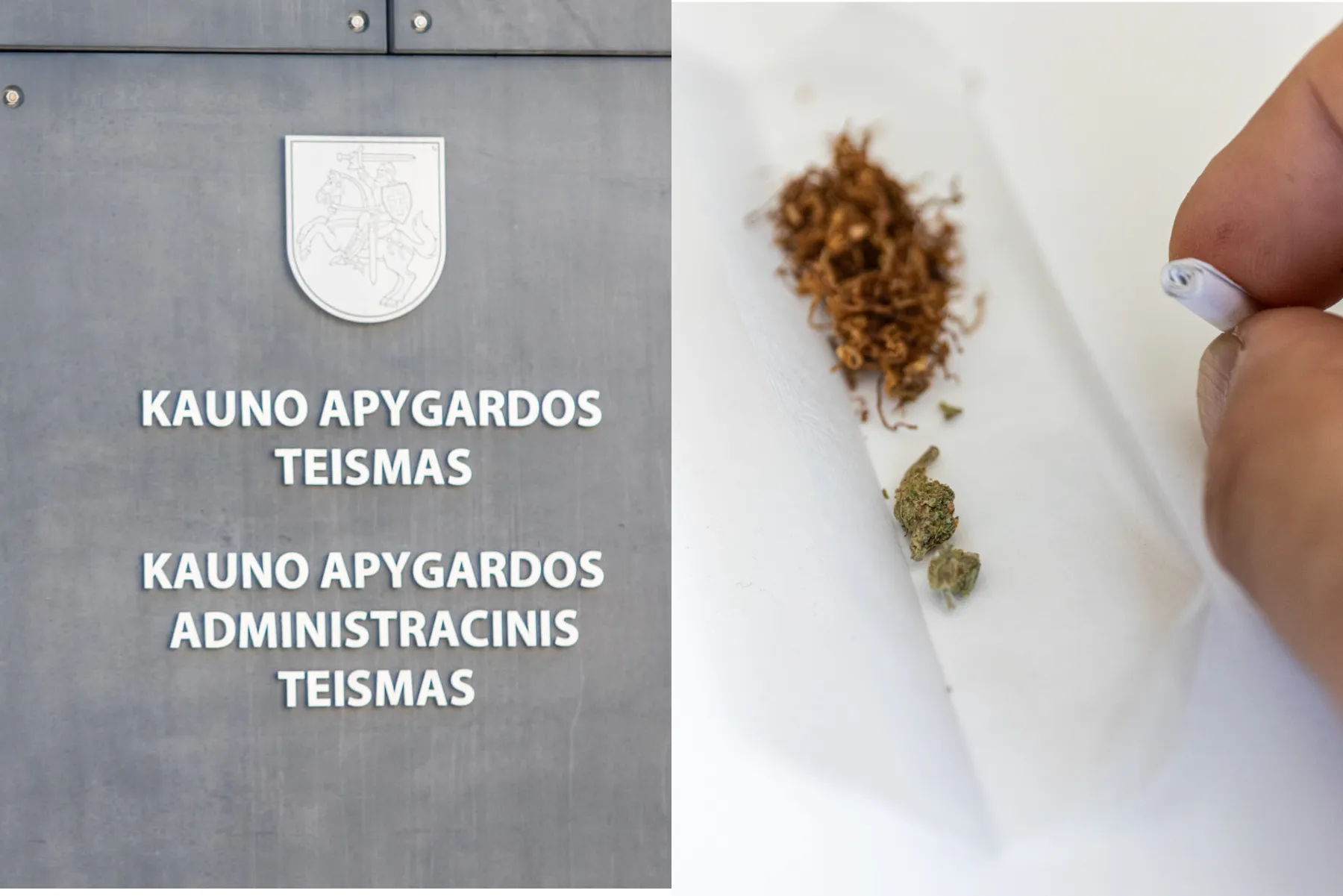 Kauno apygardos teismas, kanapės