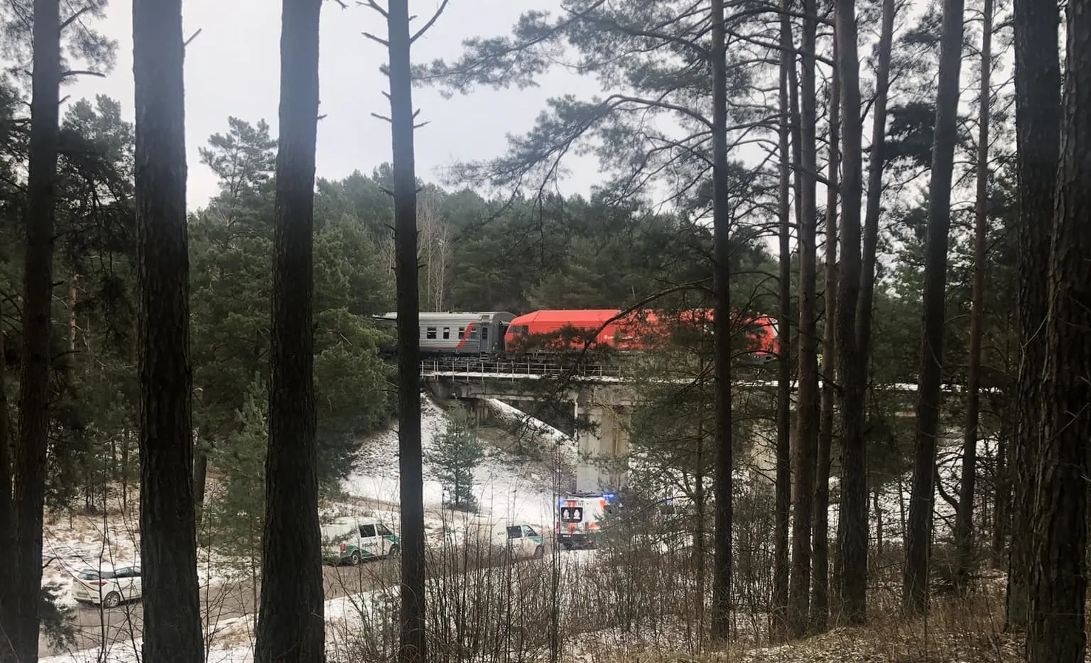 Traukinys mirtinai sužalojo vyrą