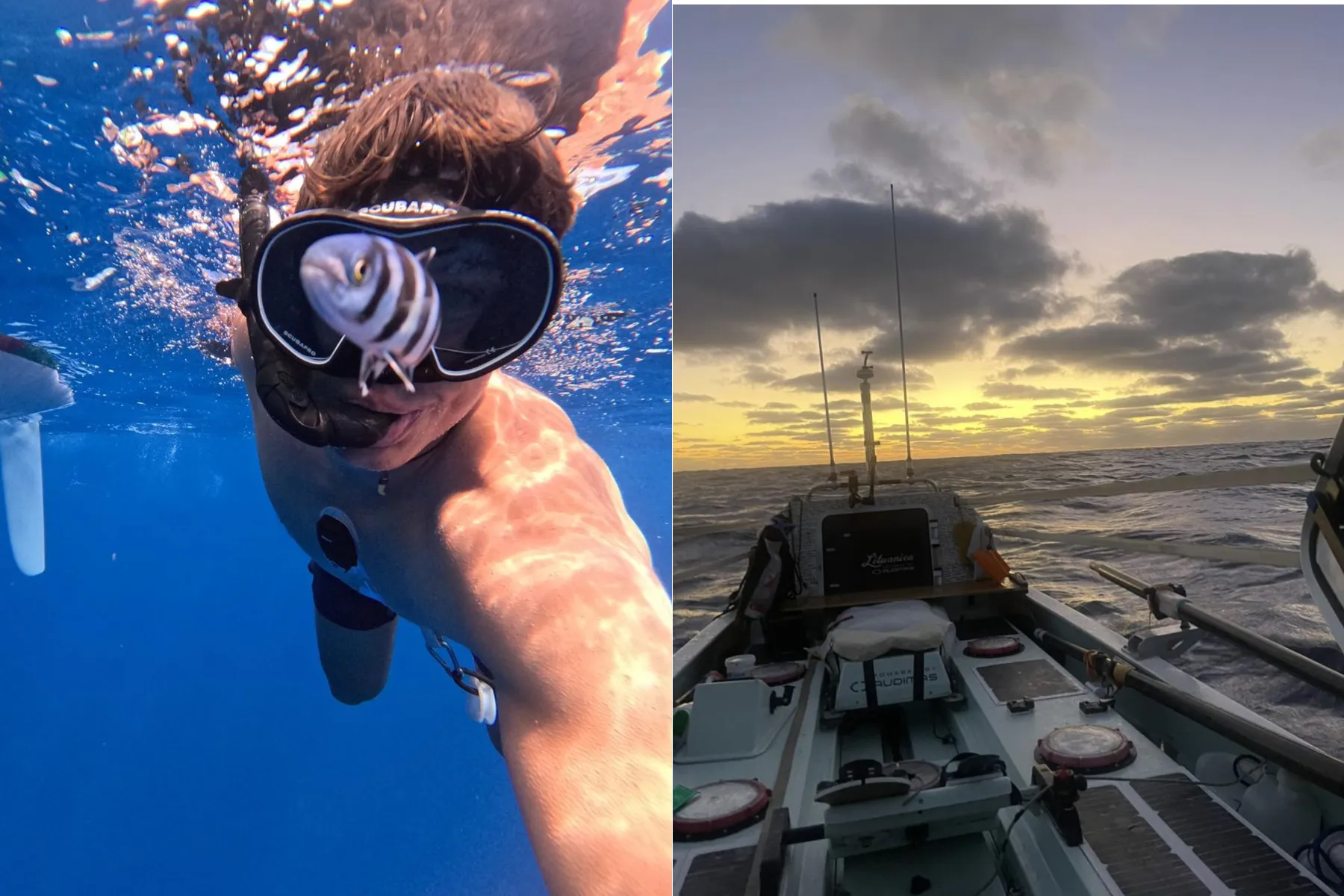 Aurimas Valujavičius