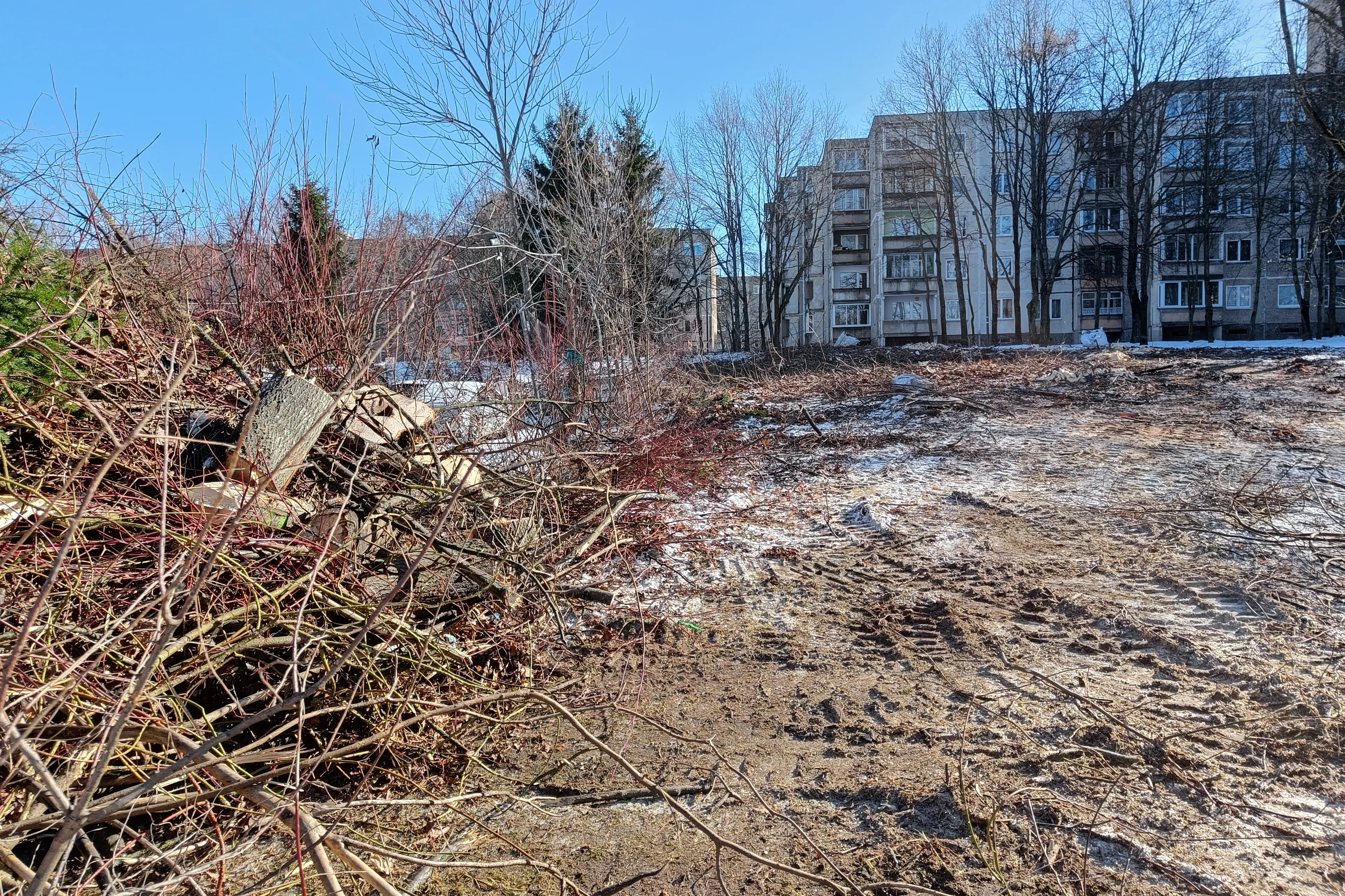 Kertami medžiai Ukmergės g.