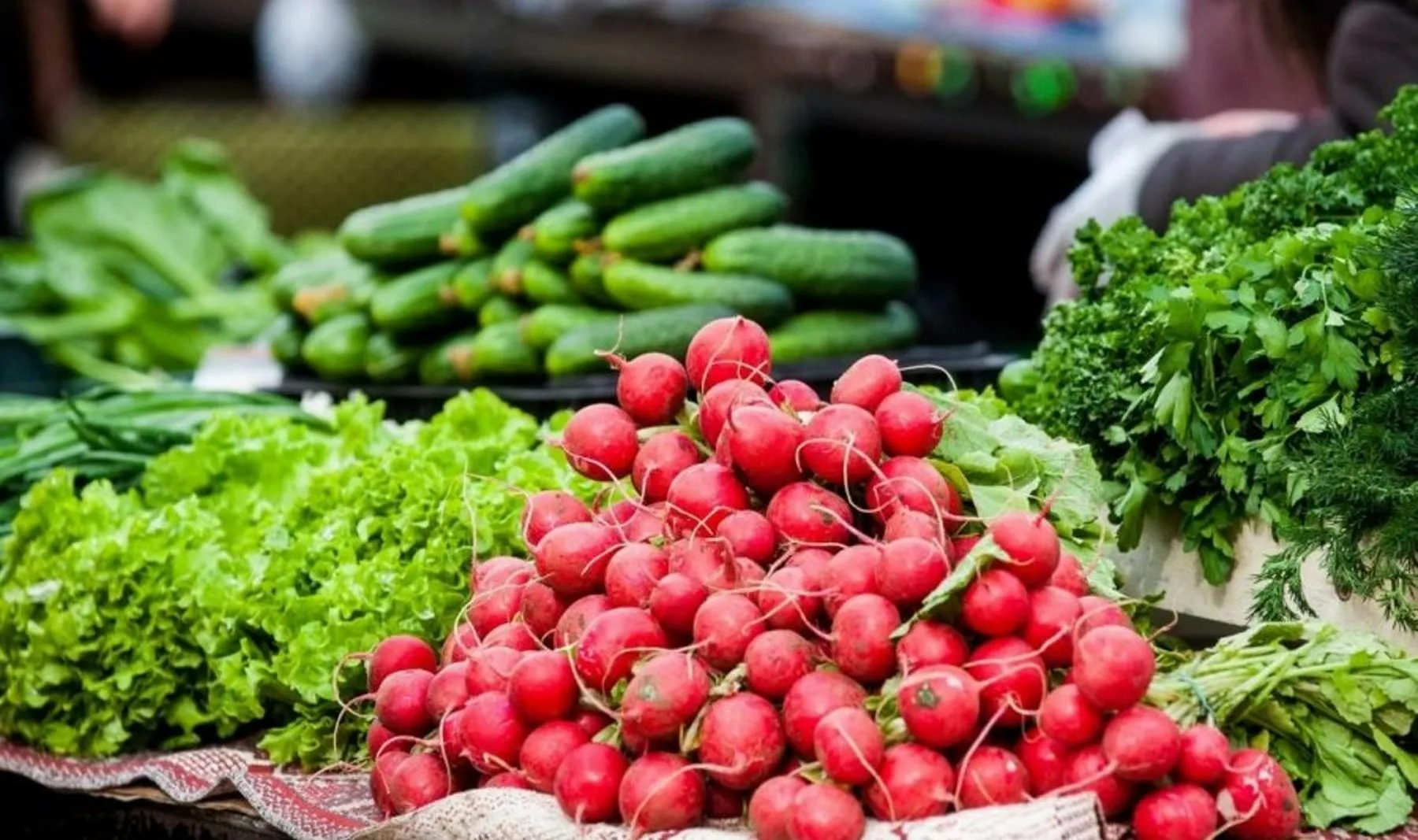 daržovės, agurkai, ridikėliai, salotos