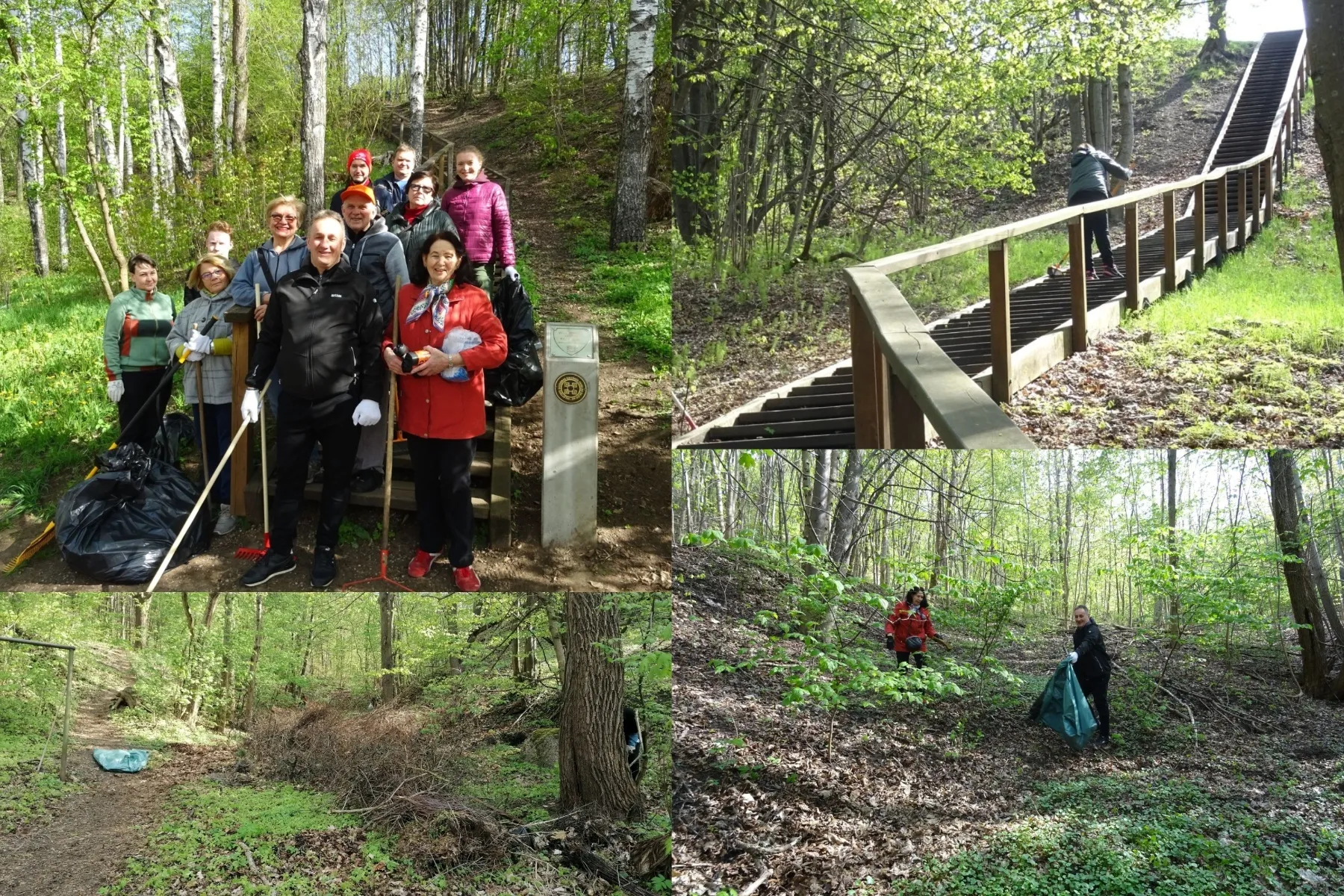 Švarinimosi akcijos metu Veršvų piliakalnyje bei jo apylinkėse atrastos negerovės