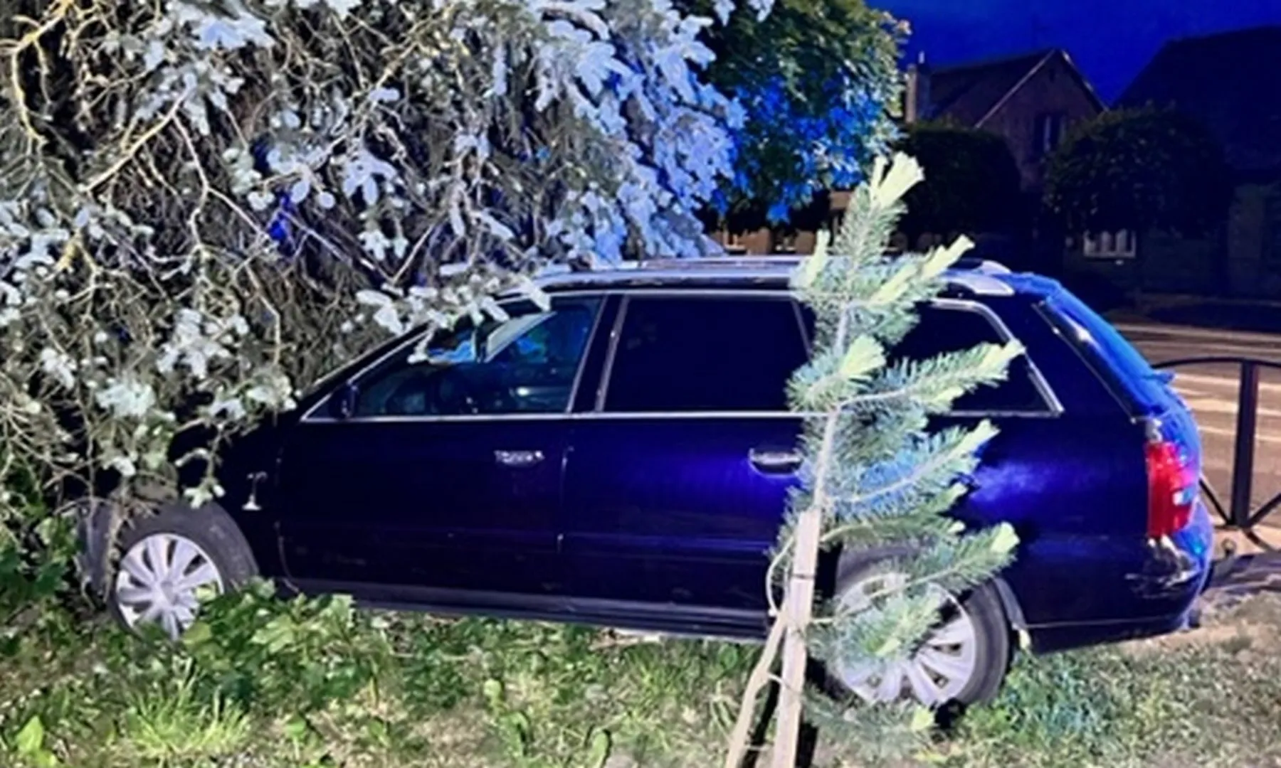 Girta 18-likmetė Garliavoje įvažiavo į krūmus