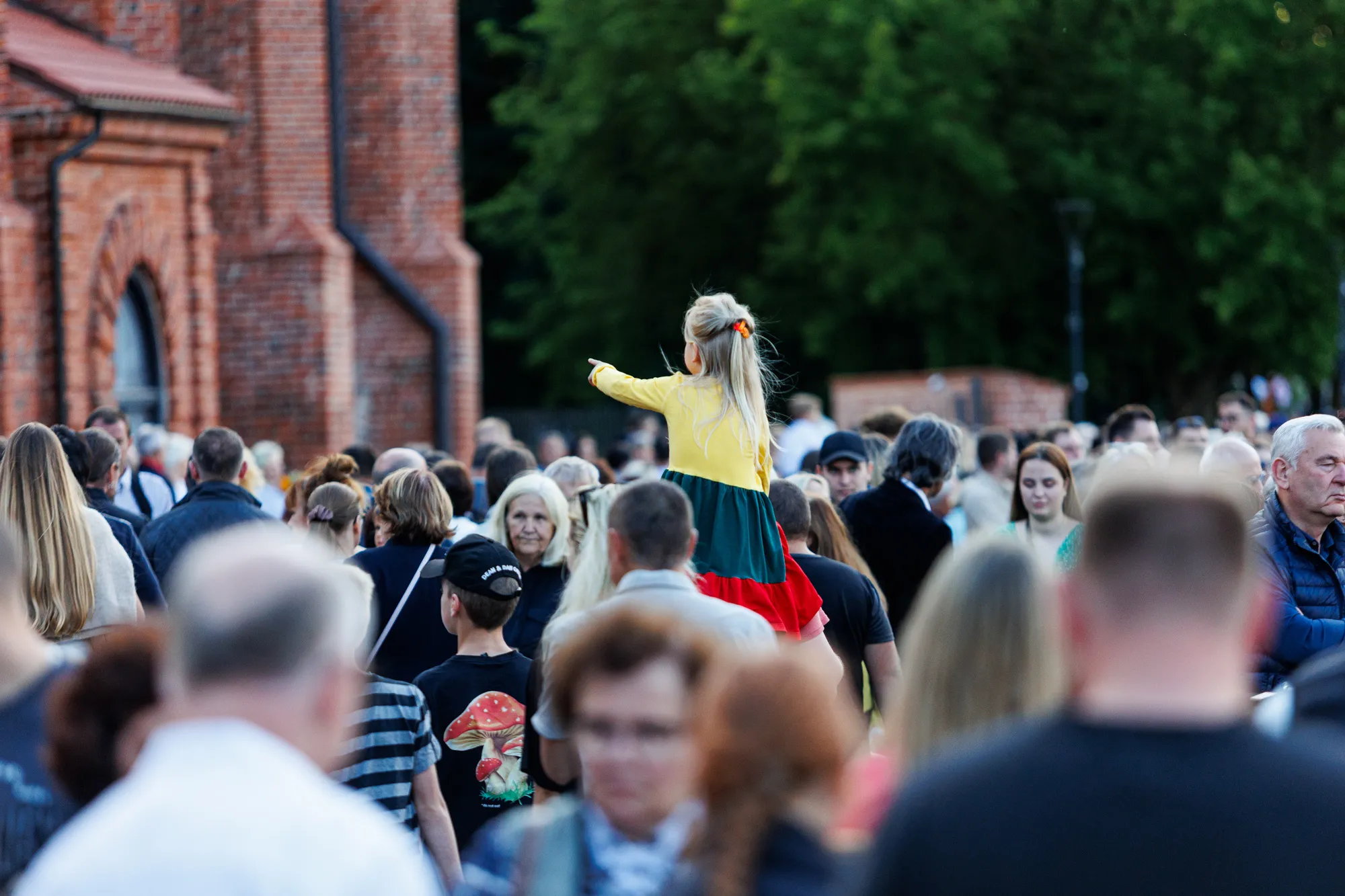 Liepos 6-osios minėjimas prie Kauno pilies