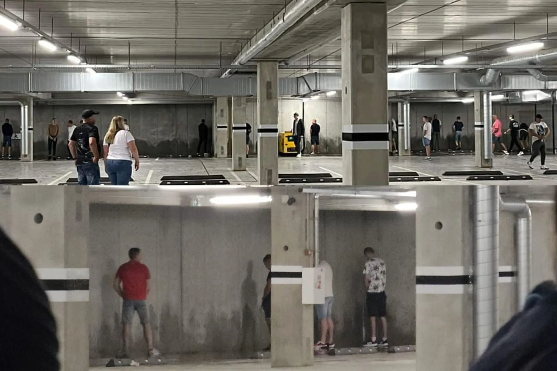 Šlapinasi ant Dariaus ir Girėno stadiono sienų / Skaitytojų nuotr.