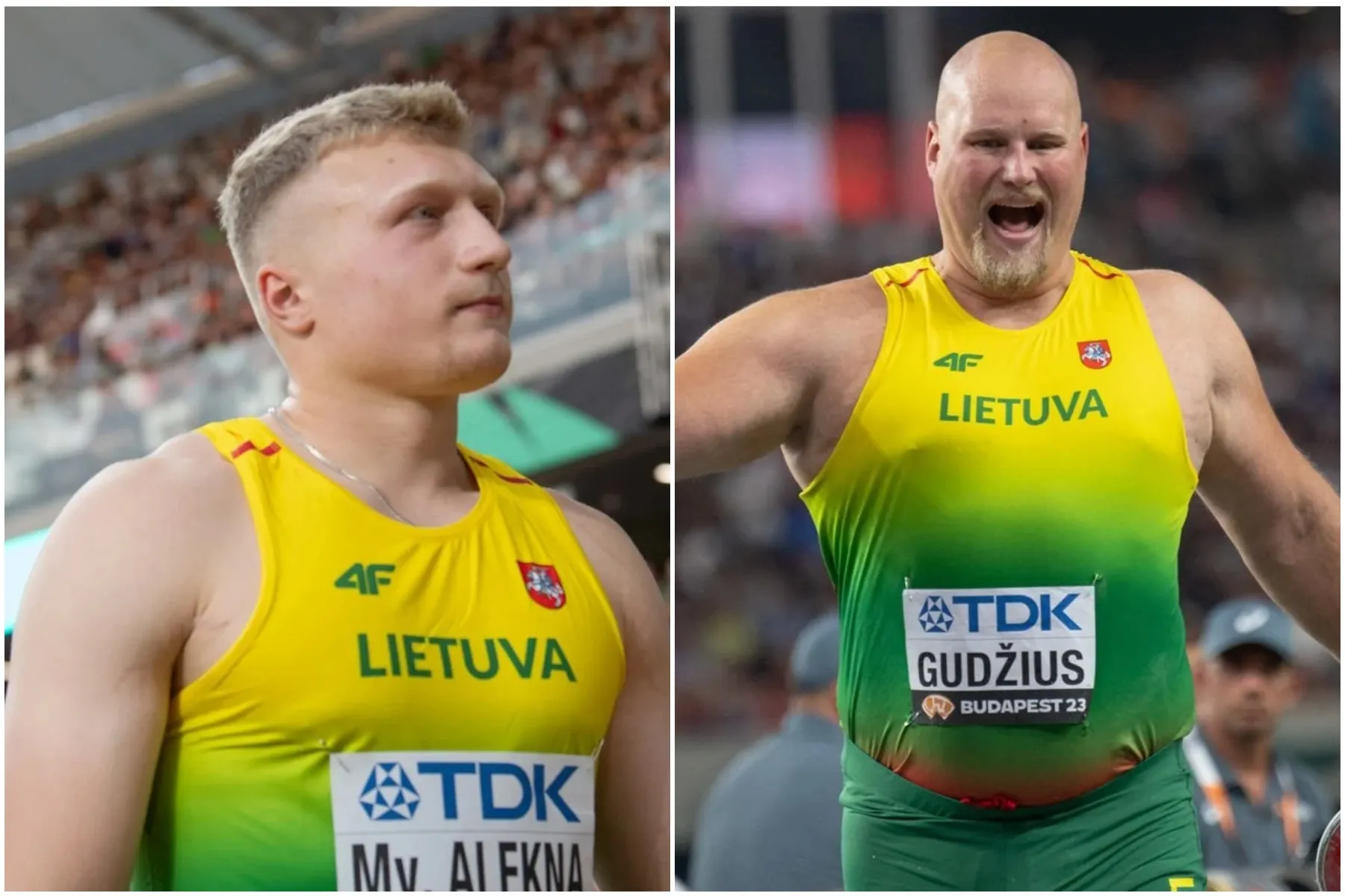 Mykolas Alekna, Andrius Gudžius