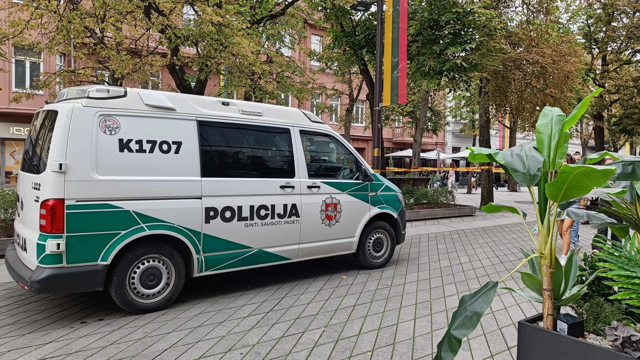 Muštynės Laisvės alėjoje