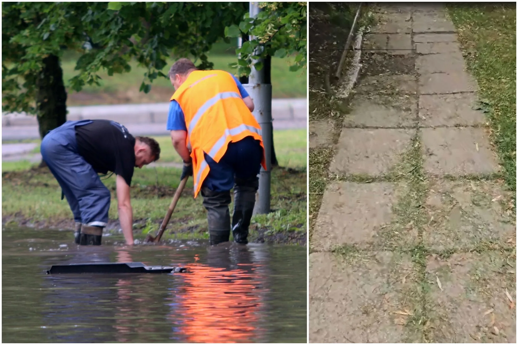 Avarinė tarnyba, nupjauta žolė
