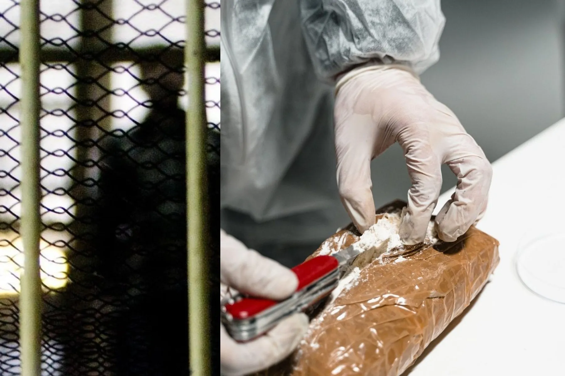 Kalėjimas, narkotikai