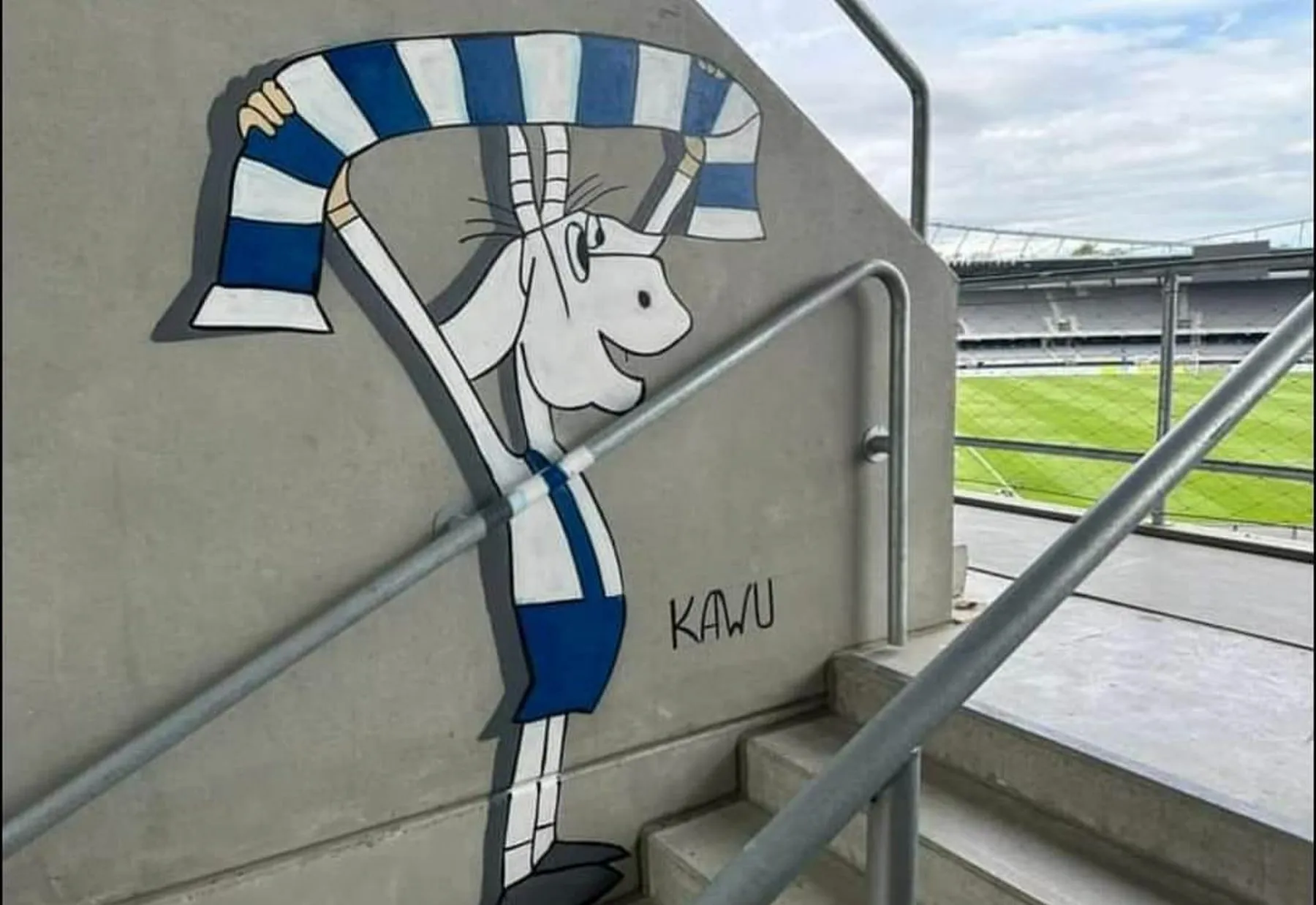 Lenkų futbolo sirgaliai Kauno stadione paliko piešinį