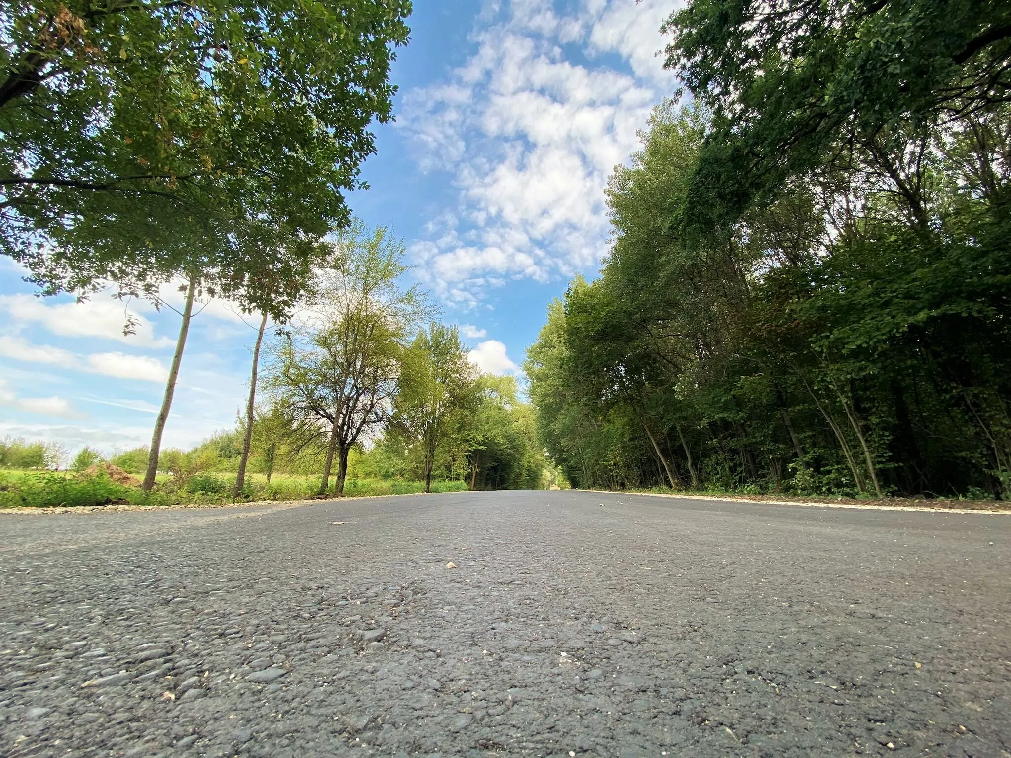 Suremontuotas IX forto kelias