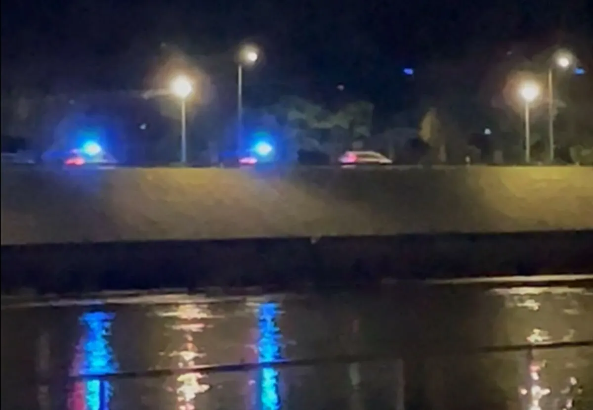 Gaudynės Užnemunės gatvėje