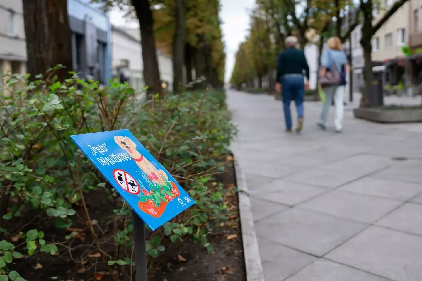 Laisvės alėjoje įrengtos lentelės ragina „netręšti“