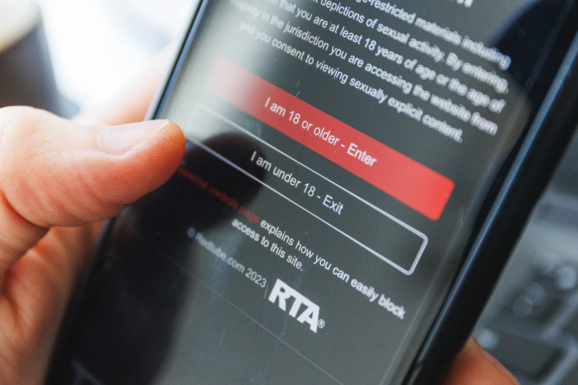 Pornografijos turinys